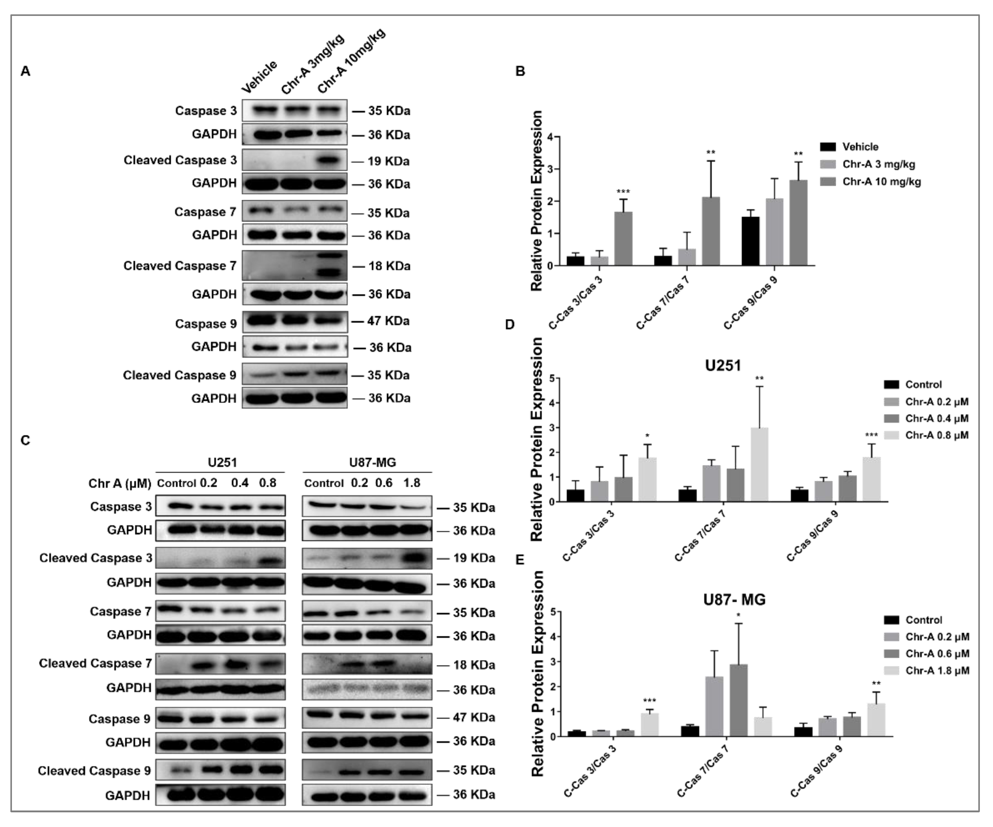Marinedrugs 21 00329 g006
