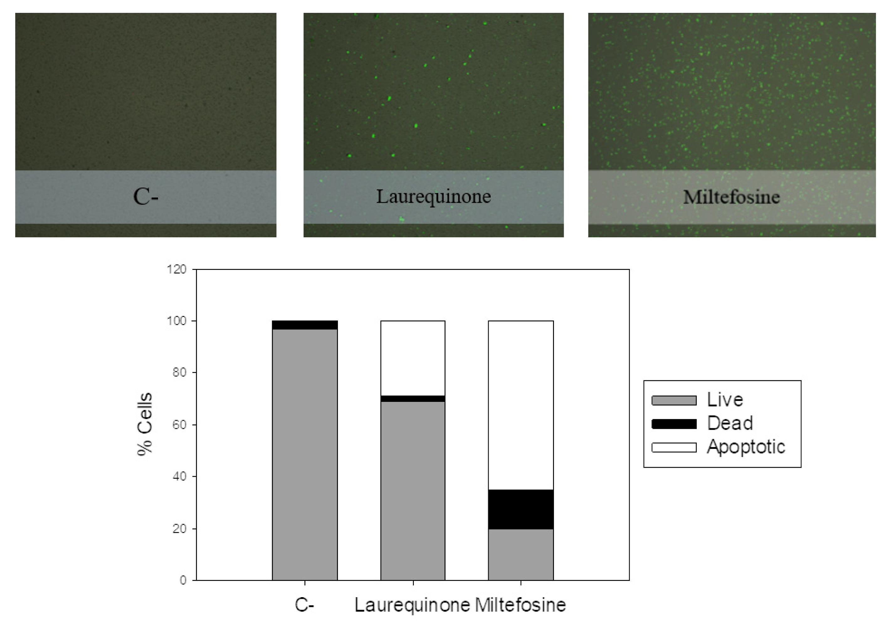 Marinedrugs 21 00333 g004