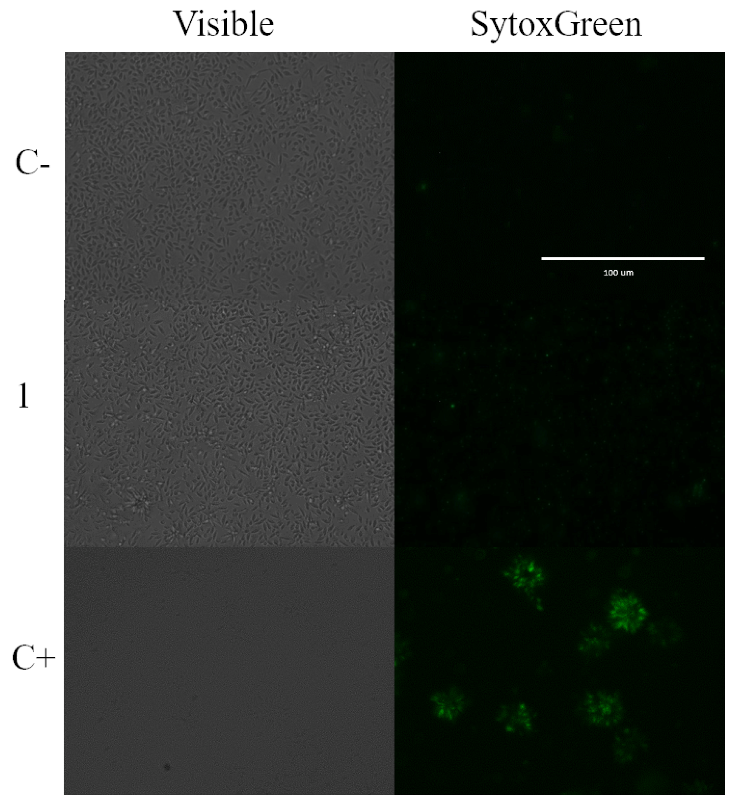 Marinedrugs 21 00333 g005