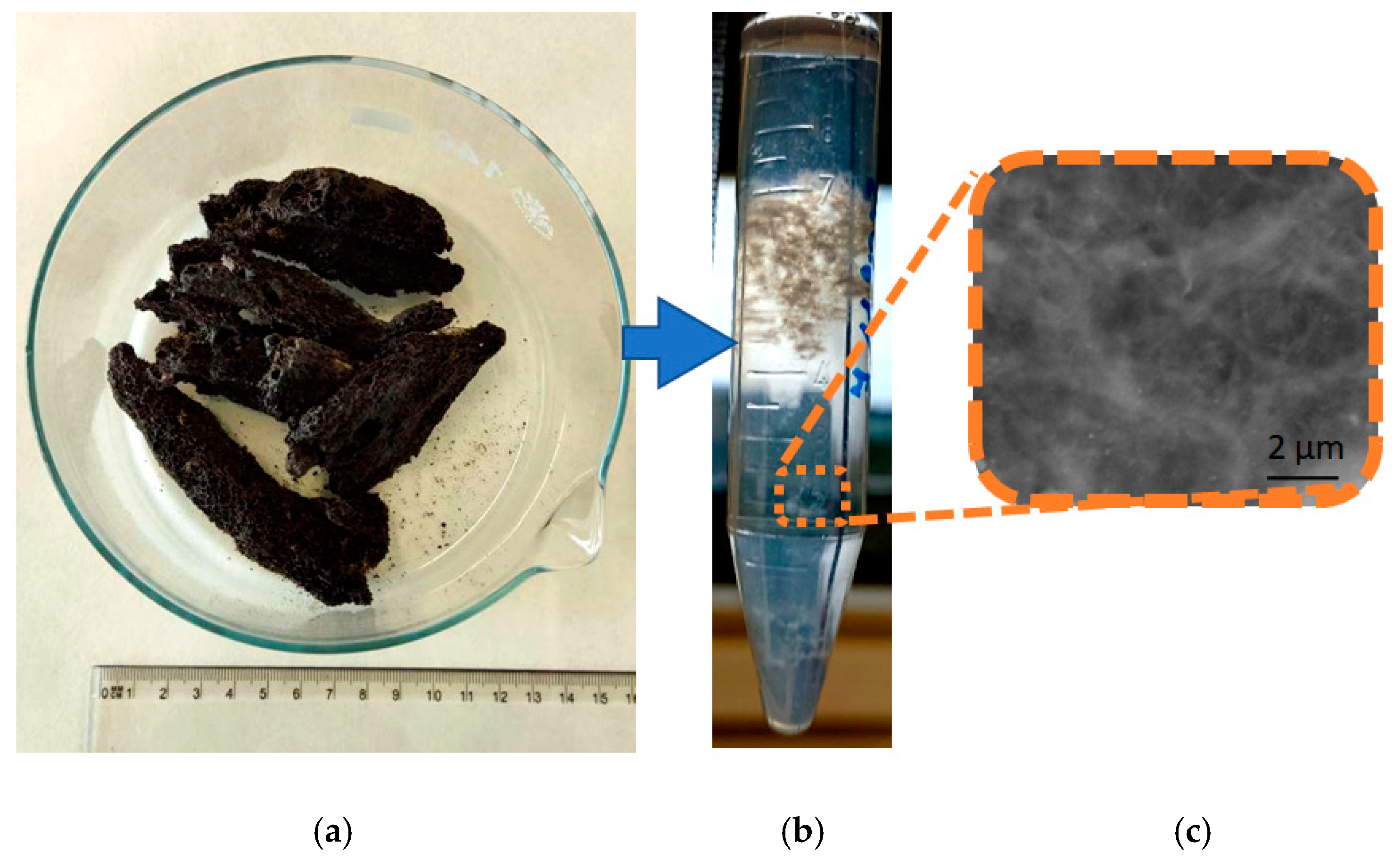 Marinedrugs 21 00334 g002