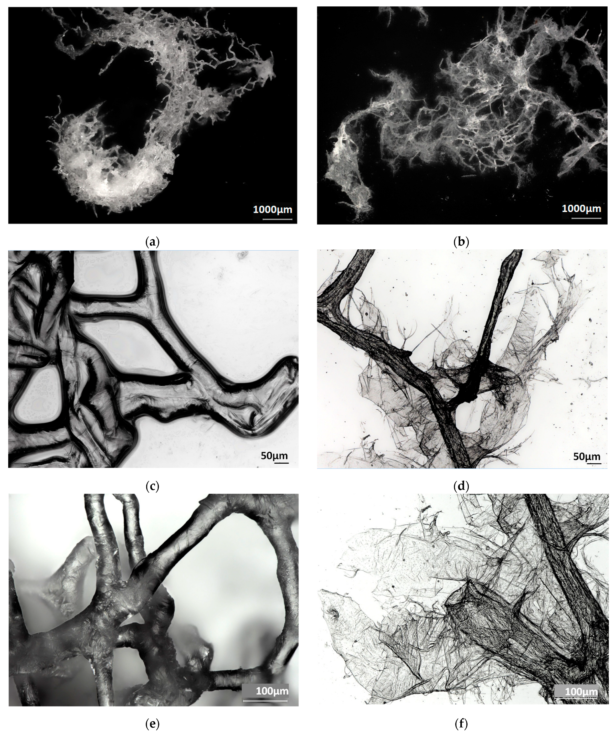 Marinedrugs 21 00334 g004