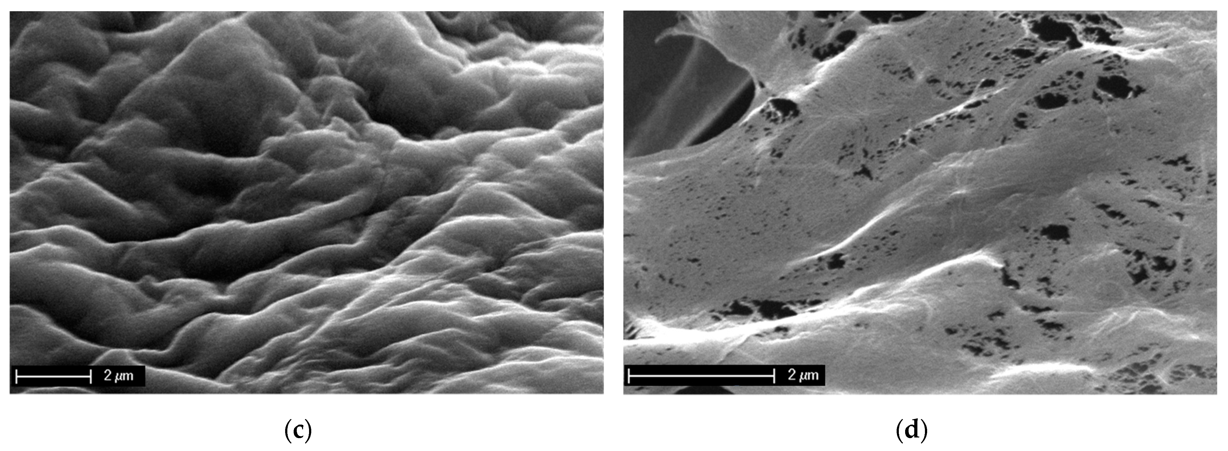 Marinedrugs 21 00334 g007b