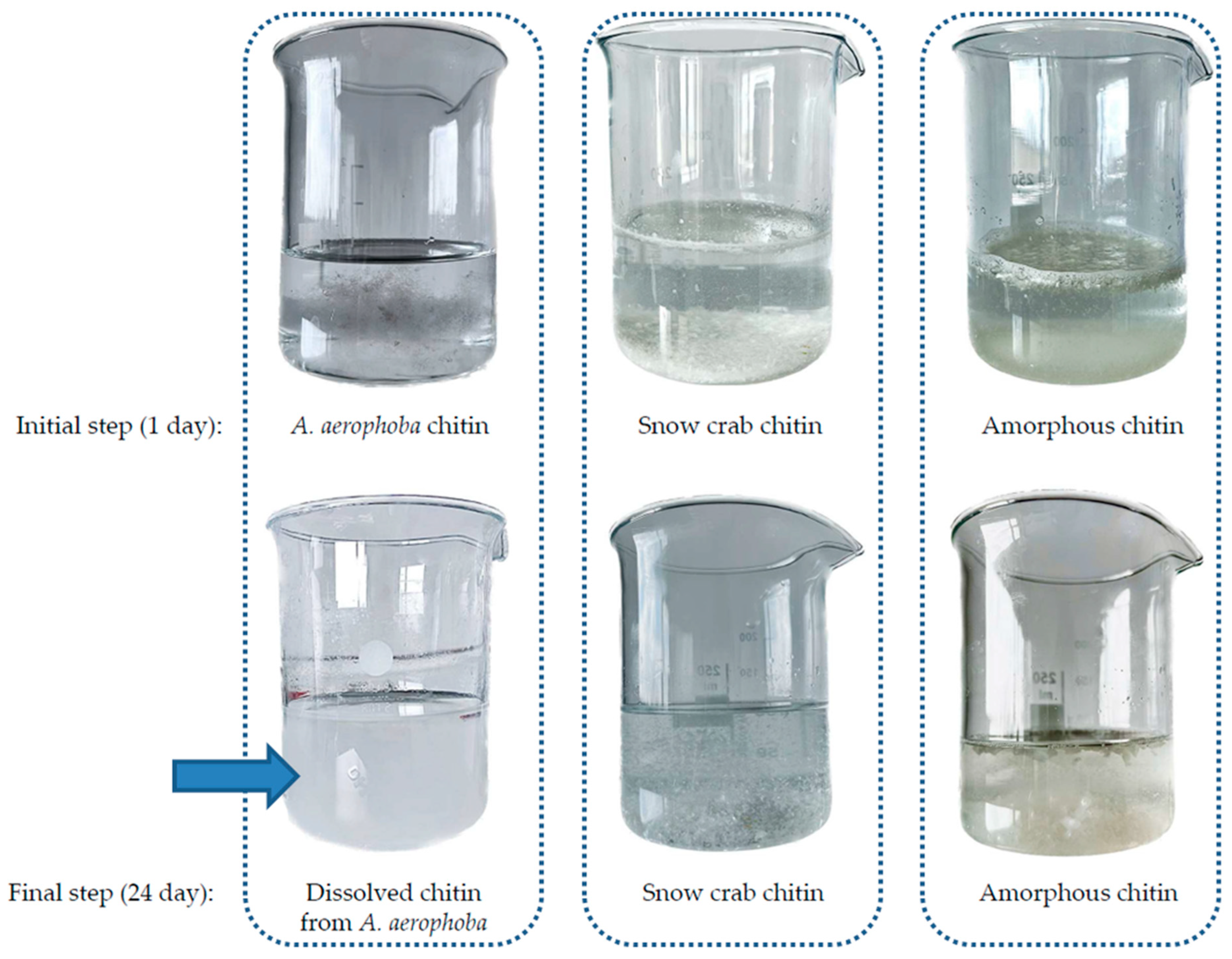 Marinedrugs 21 00334 g008