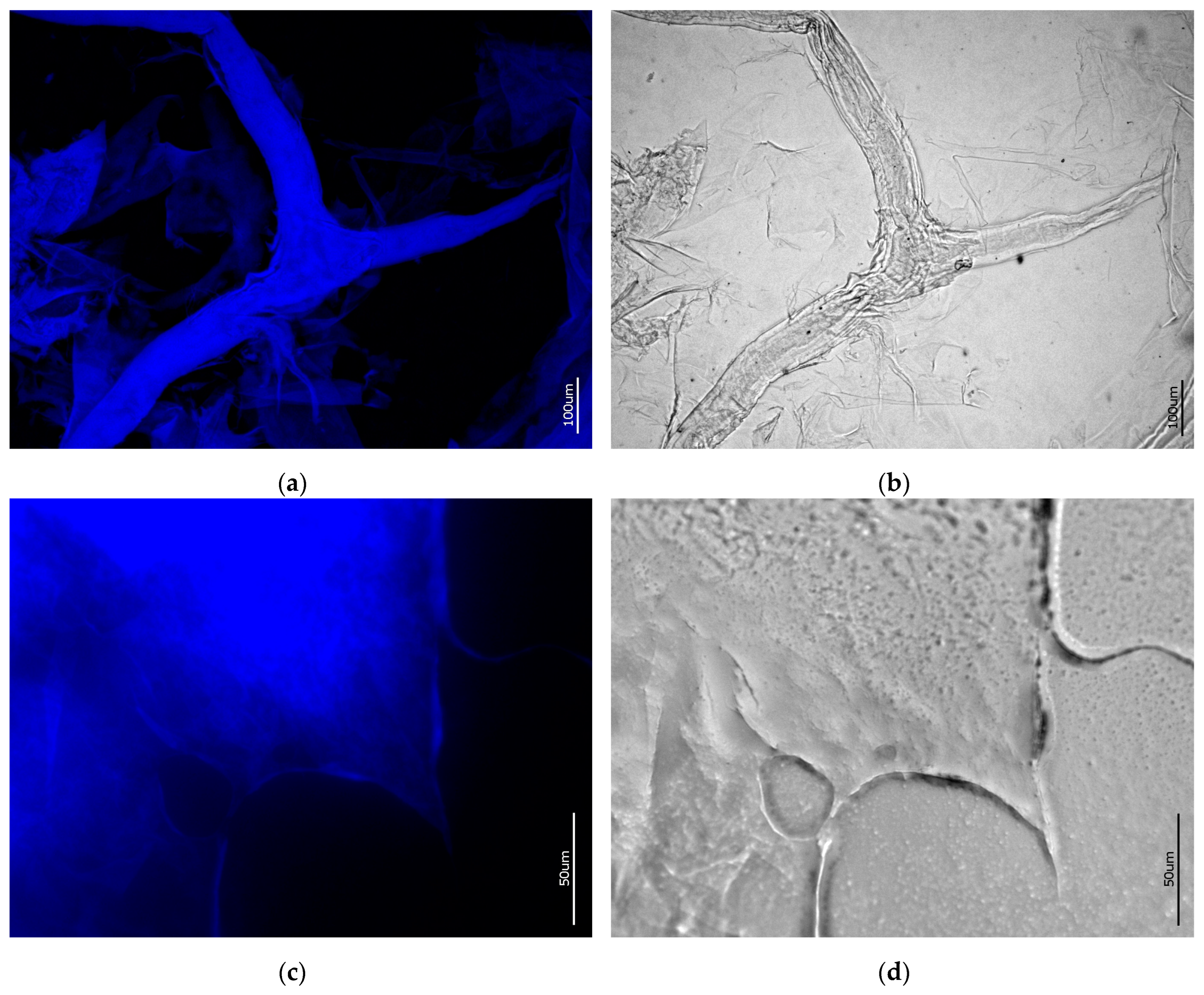 Marinedrugs 21 00334 g009