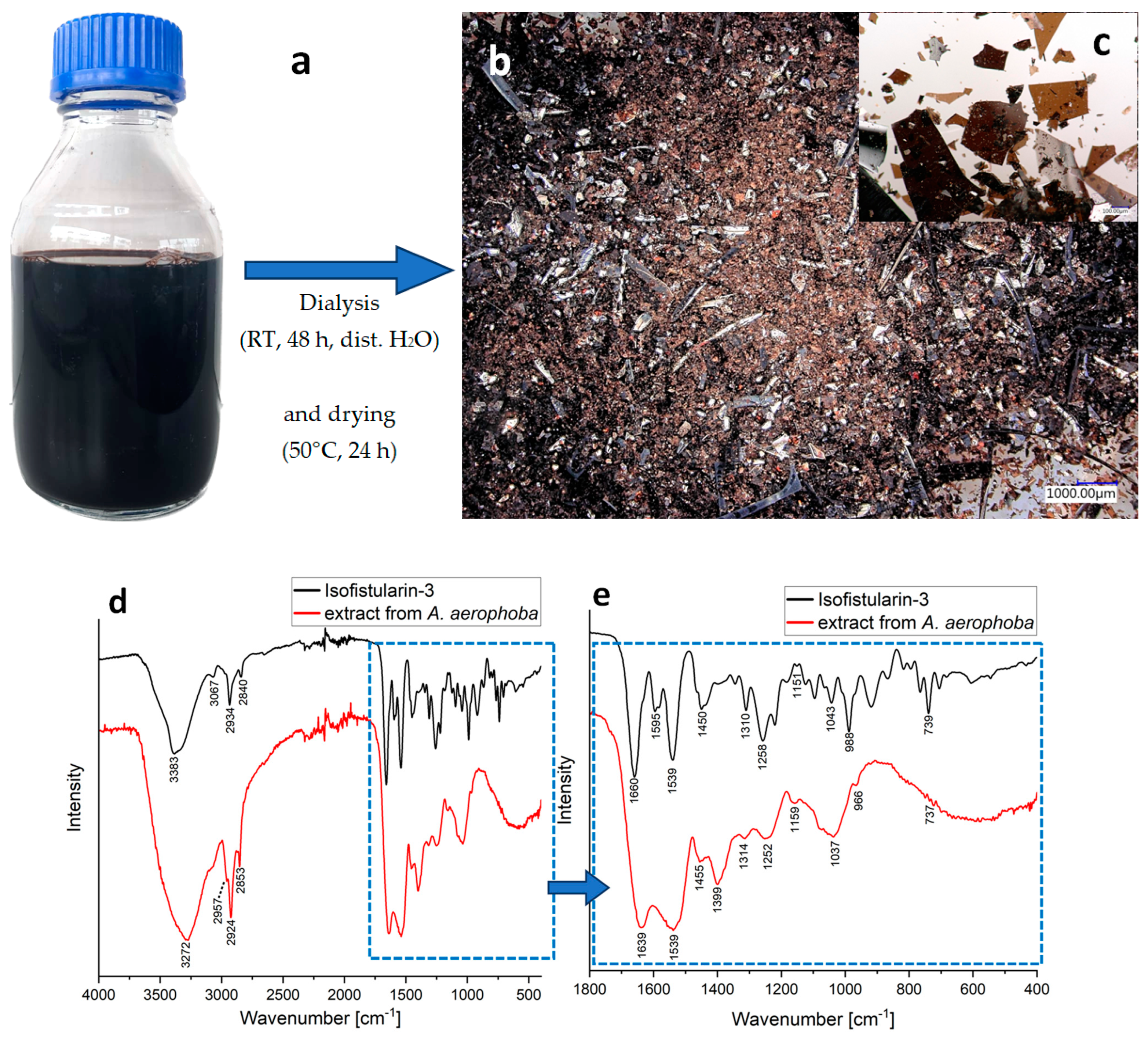 Marinedrugs 21 00334 g010