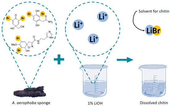 Marinedrugs 21 00334 g011