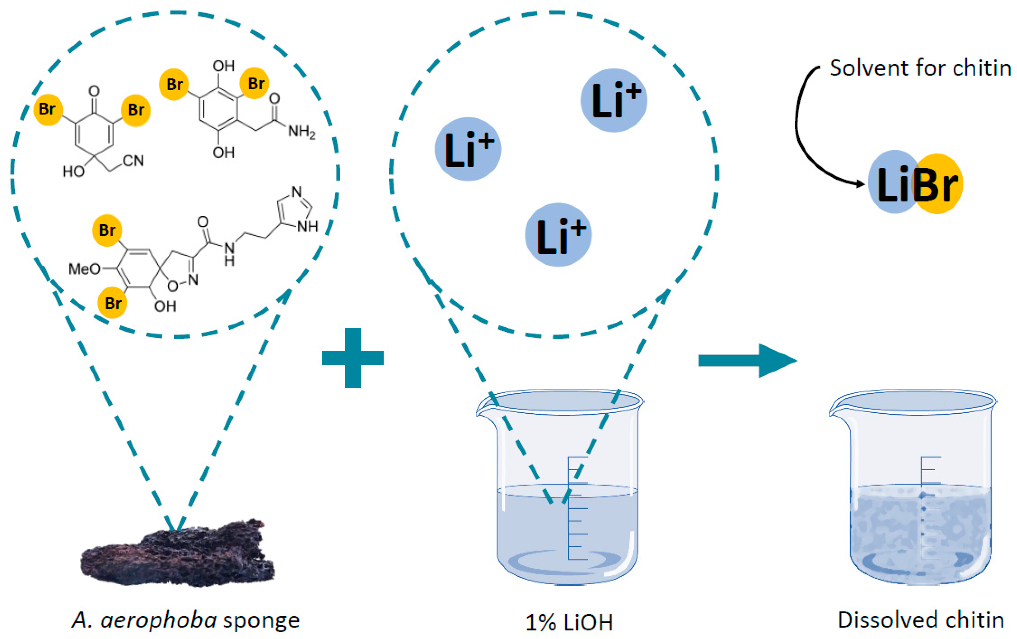 Marinedrugs 21 00334 g011