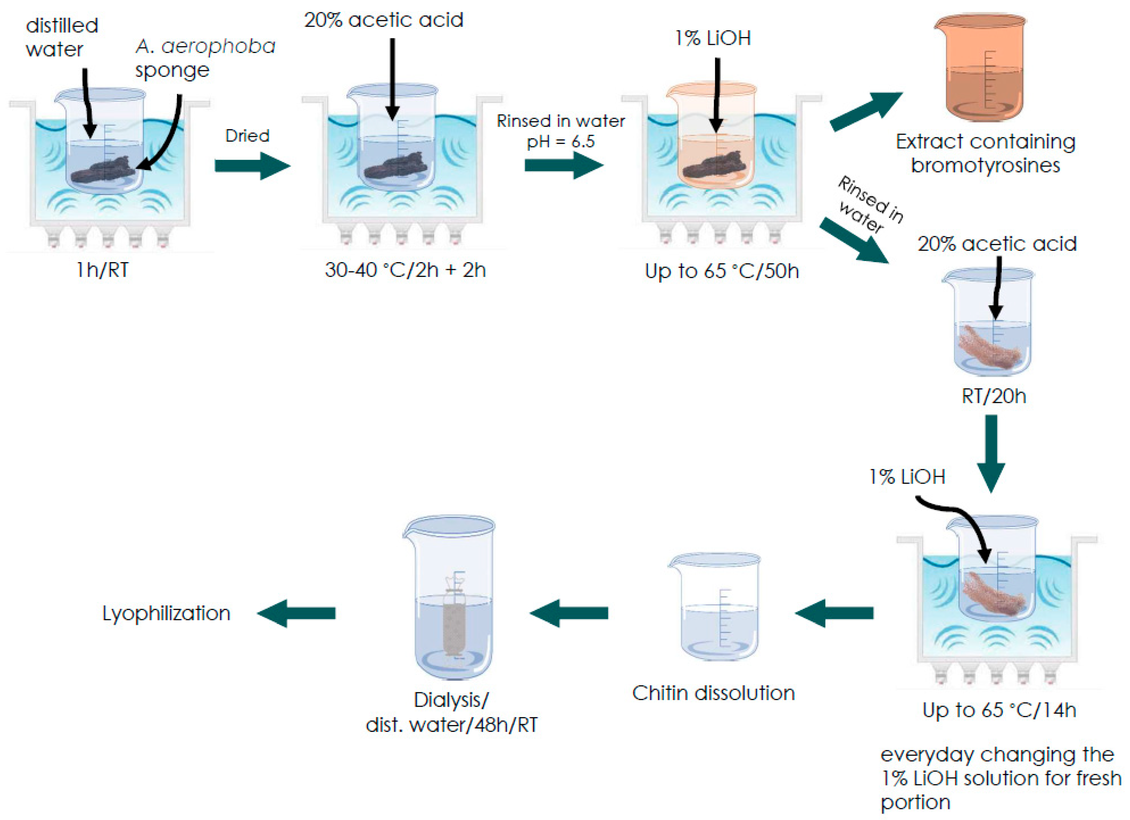 Marinedrugs 21 00334 g012