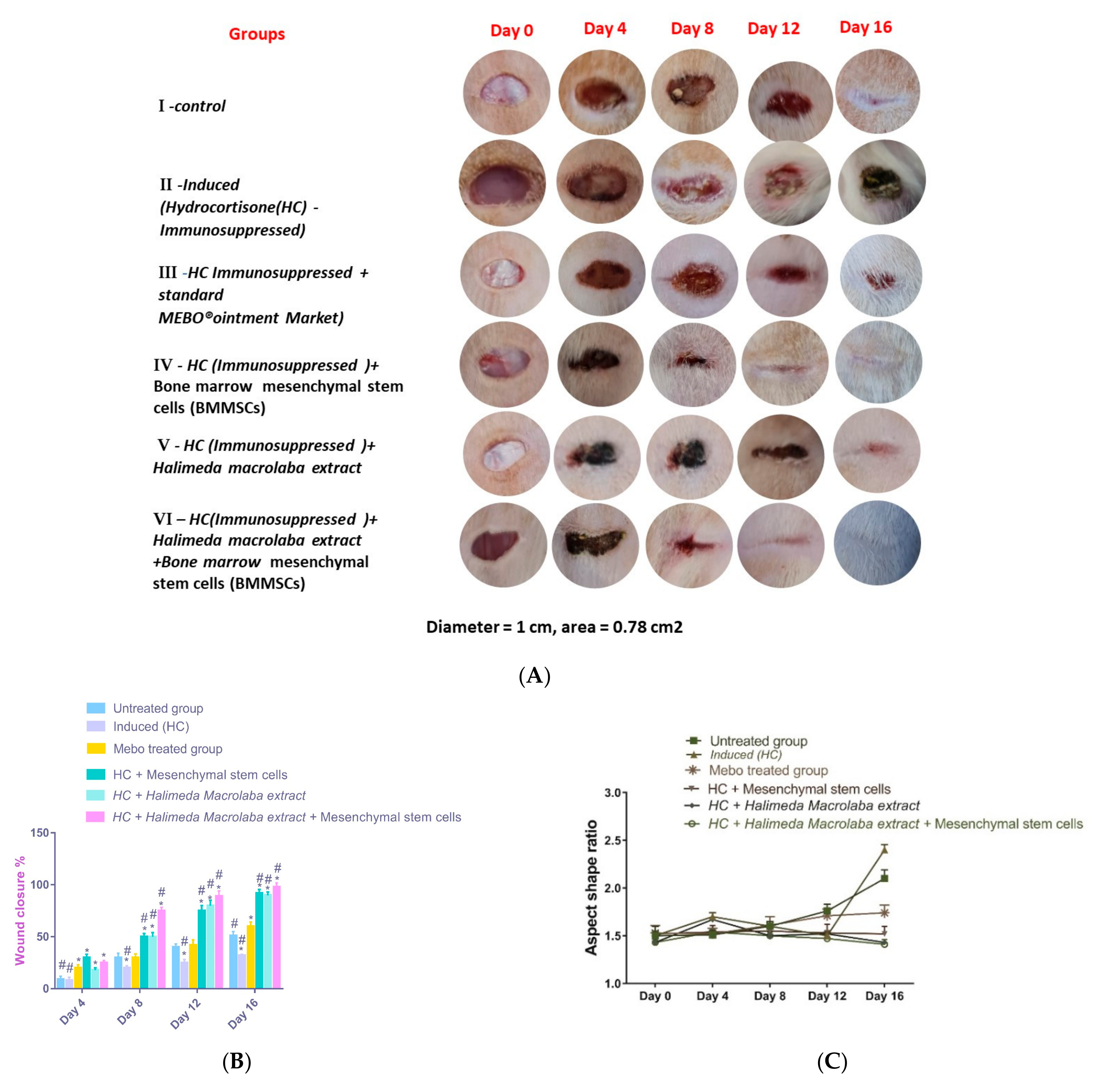 Marinedrugs 21 00336 g002 Marinedrugs 21 00336 g002