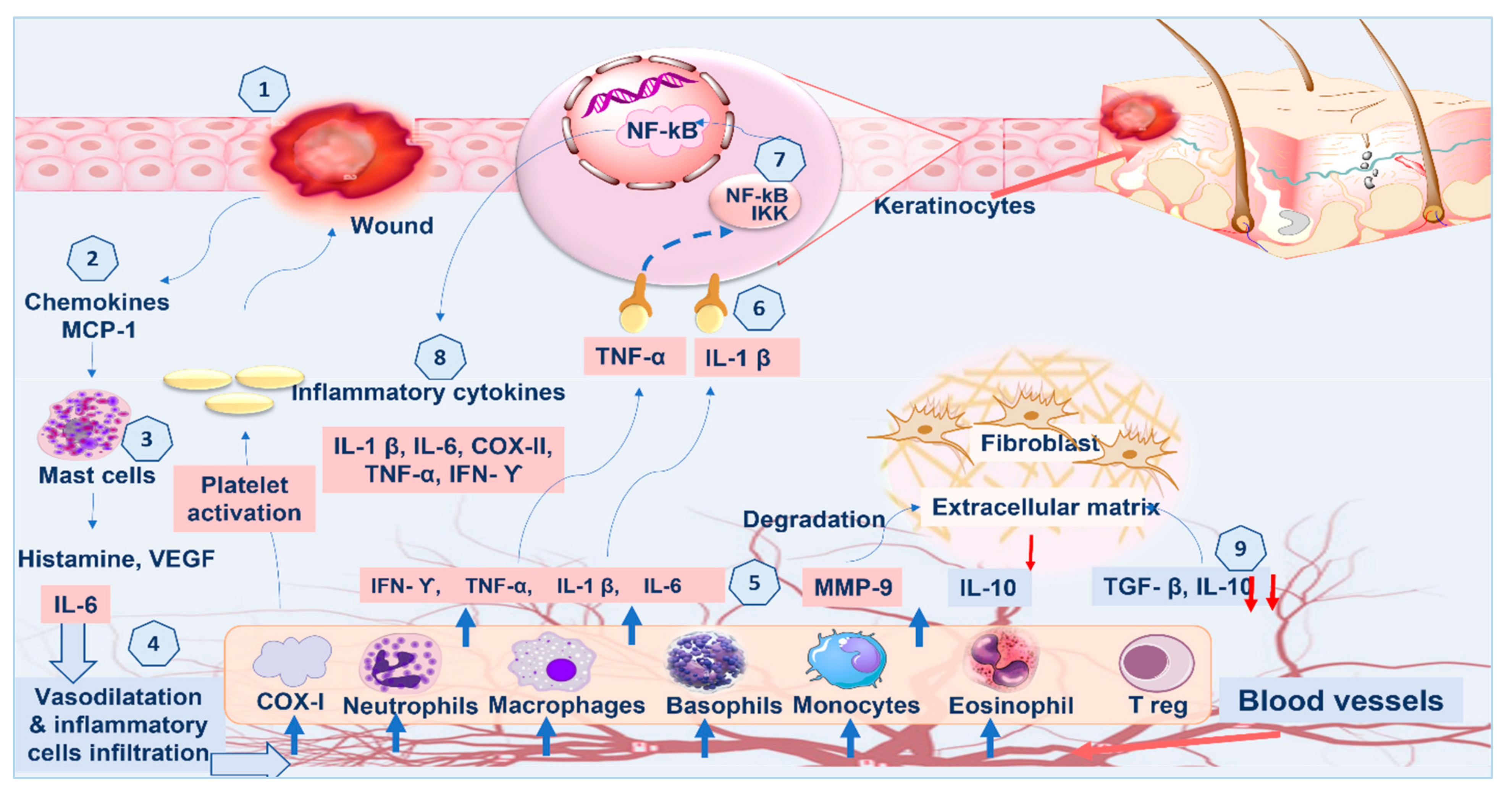 Marinedrugs 21 00336 g006 Marinedrugs 21 00336 g006