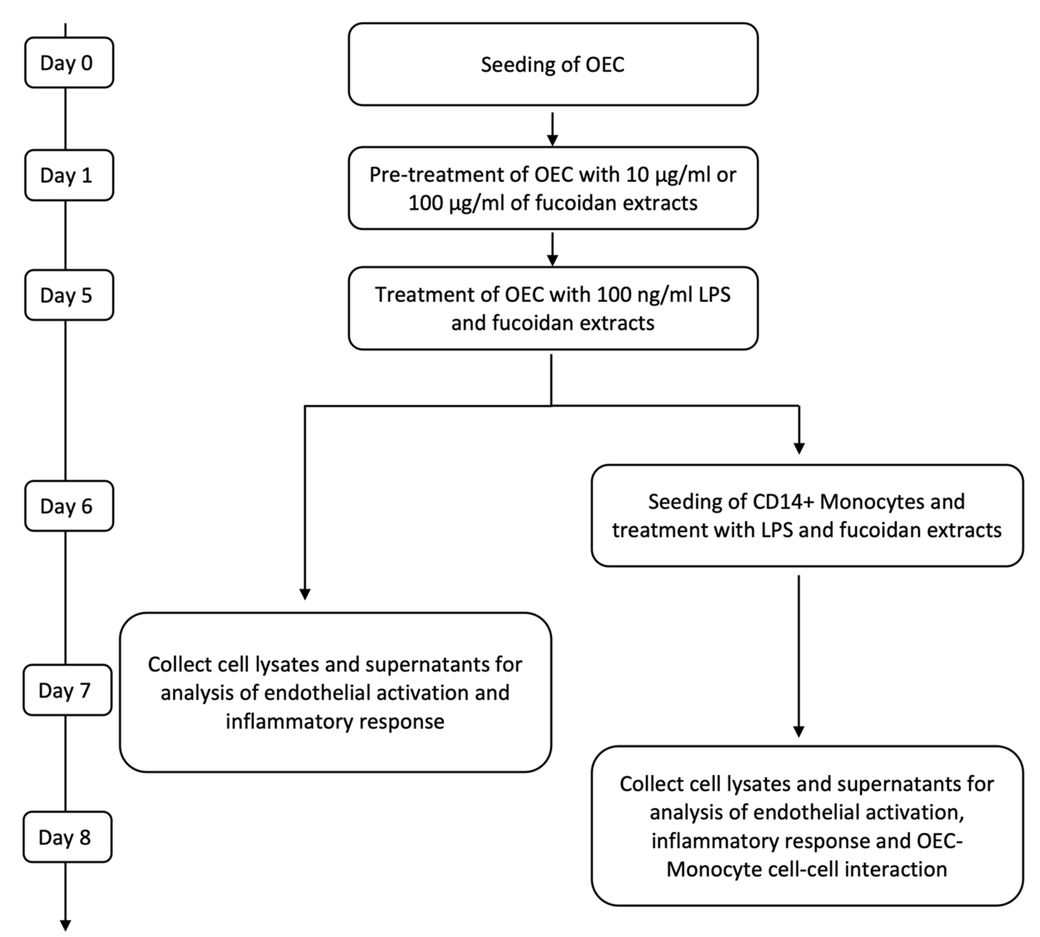 Marinedrugs 21 00339 g006