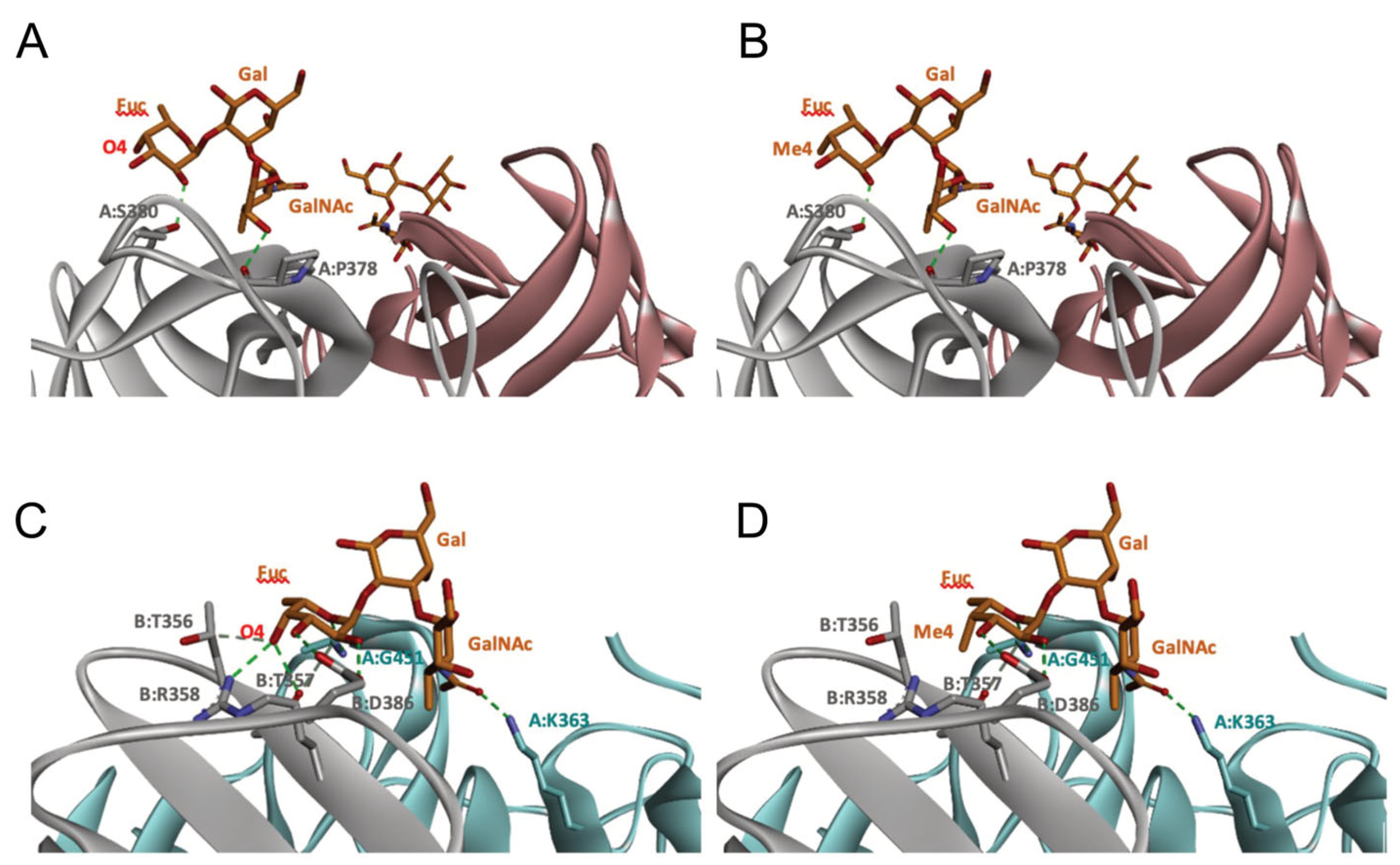 Marinedrugs 21 00342 g010