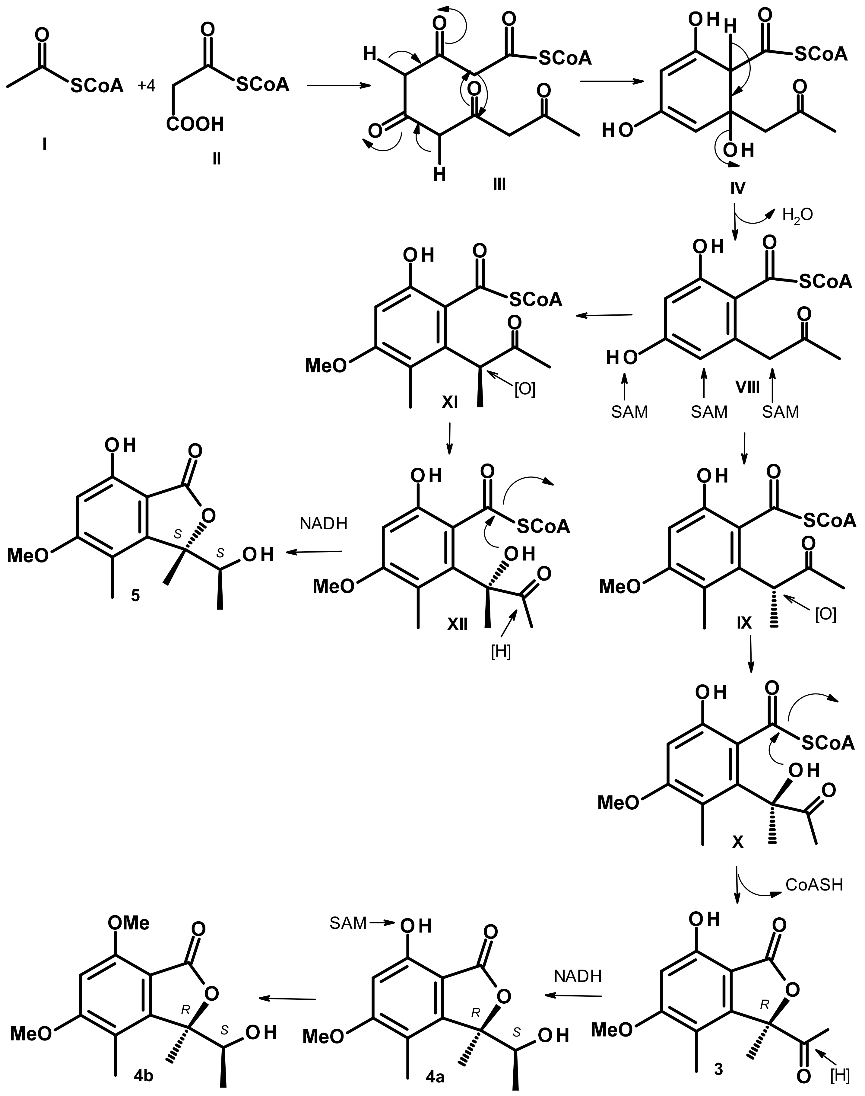 Marinedrugs 21 00344 g008