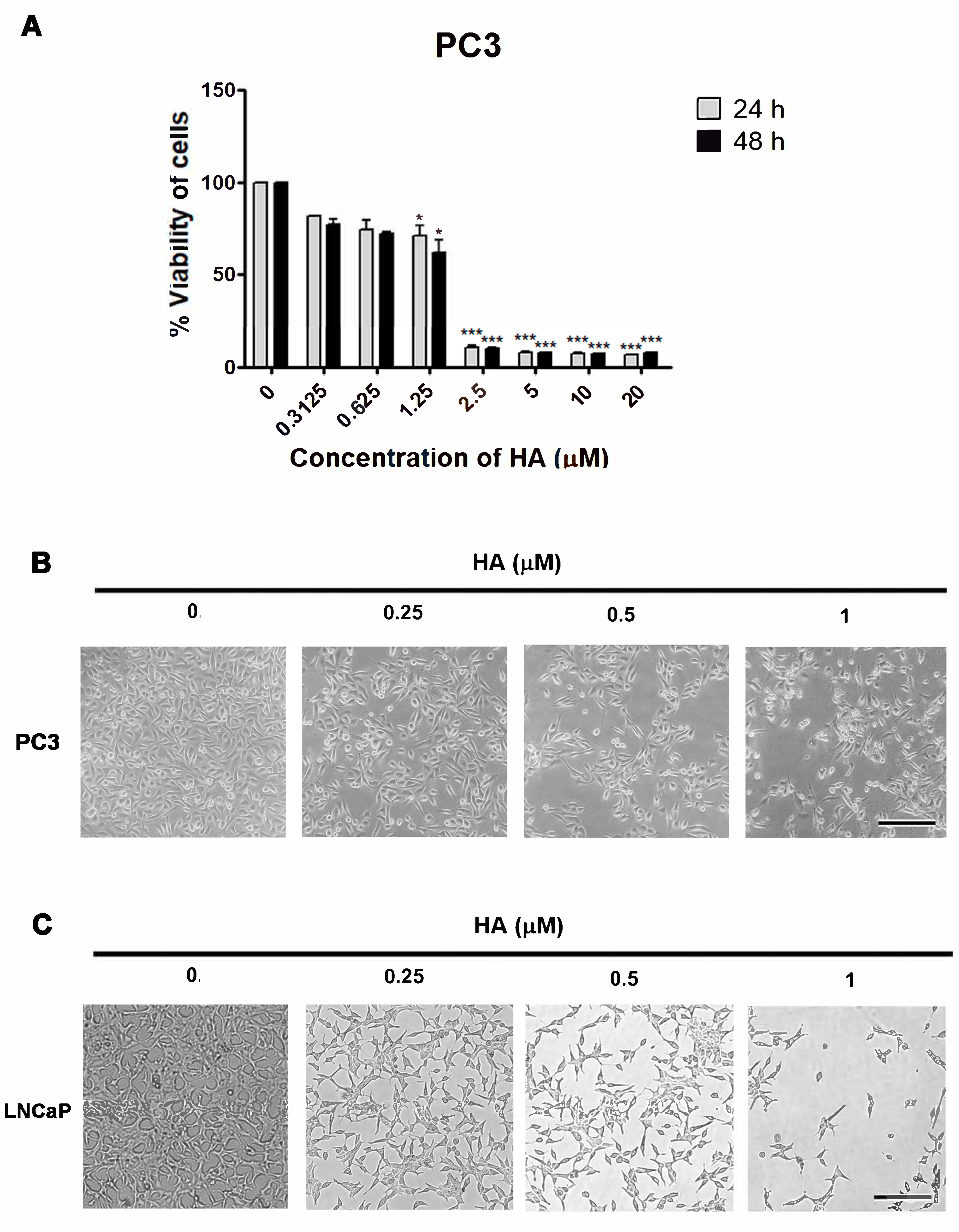 Marinedrugs 21 00345 g002