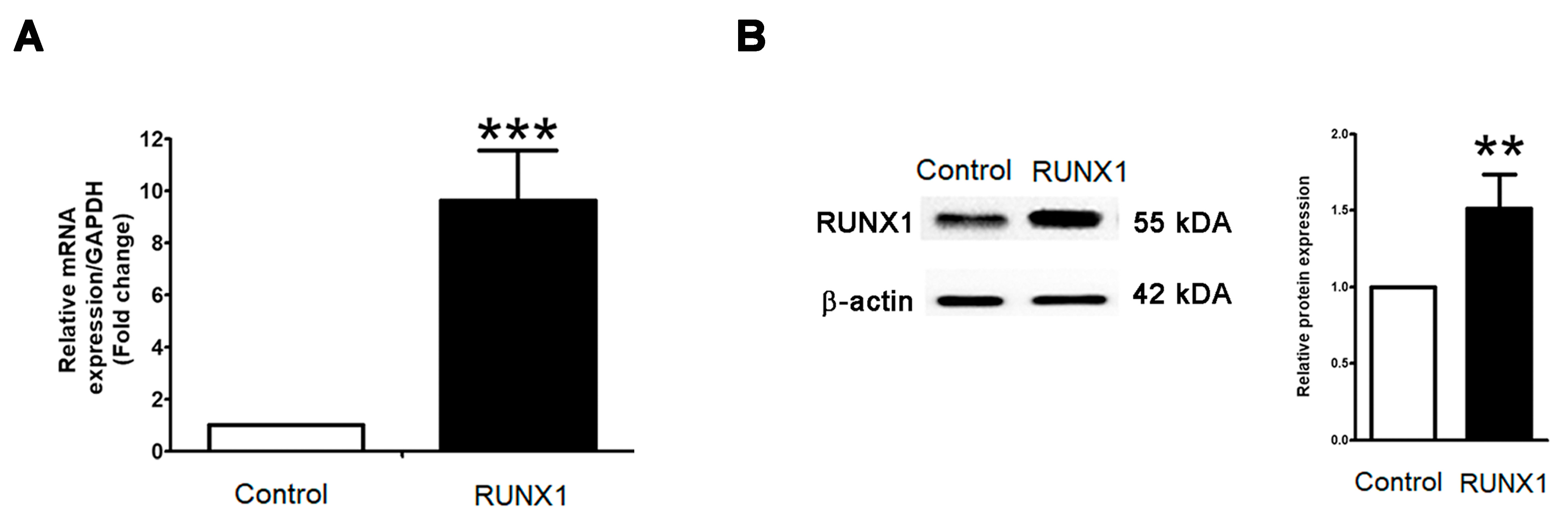 Marinedrugs 21 00345 g003