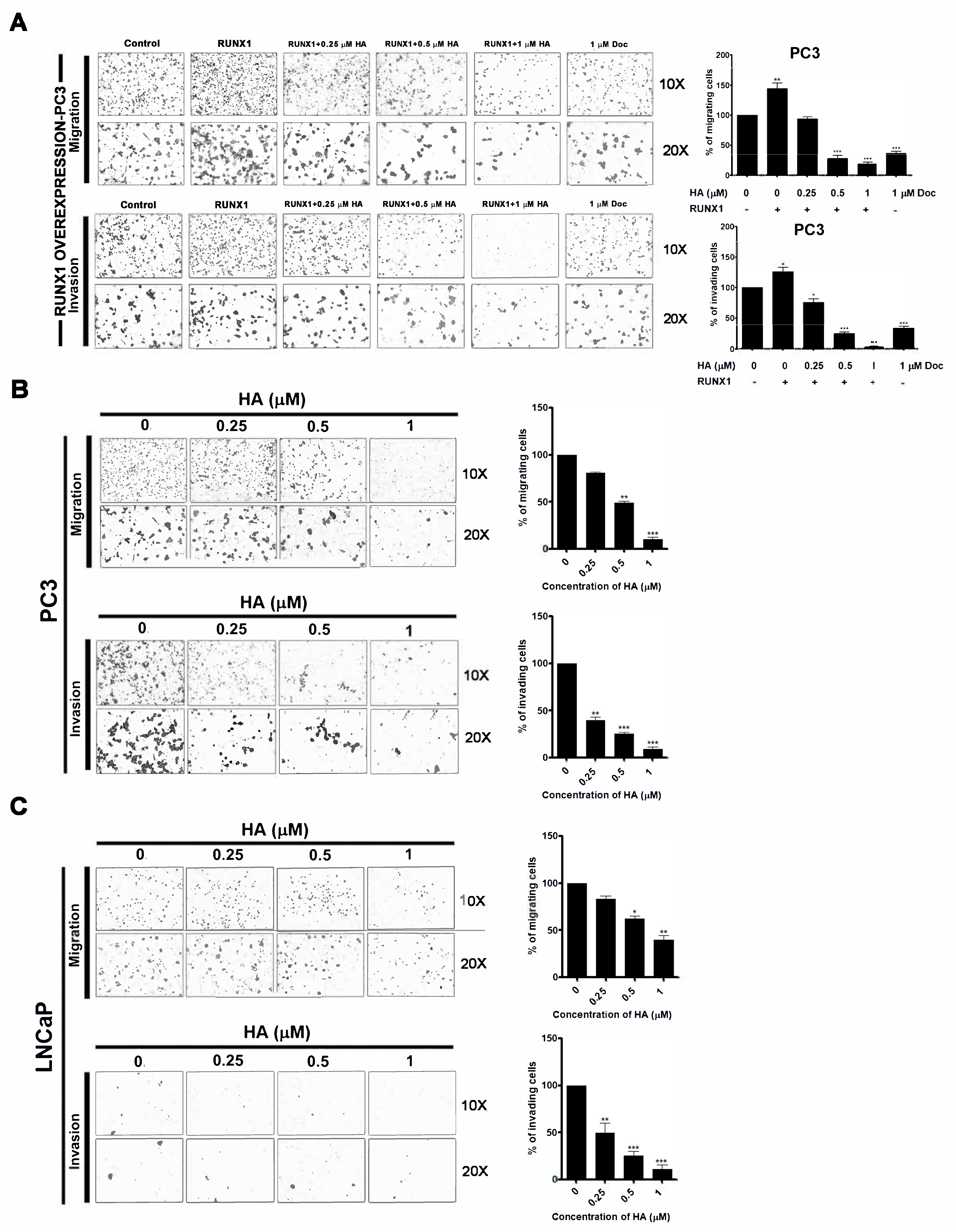 Marinedrugs 21 00345 g005