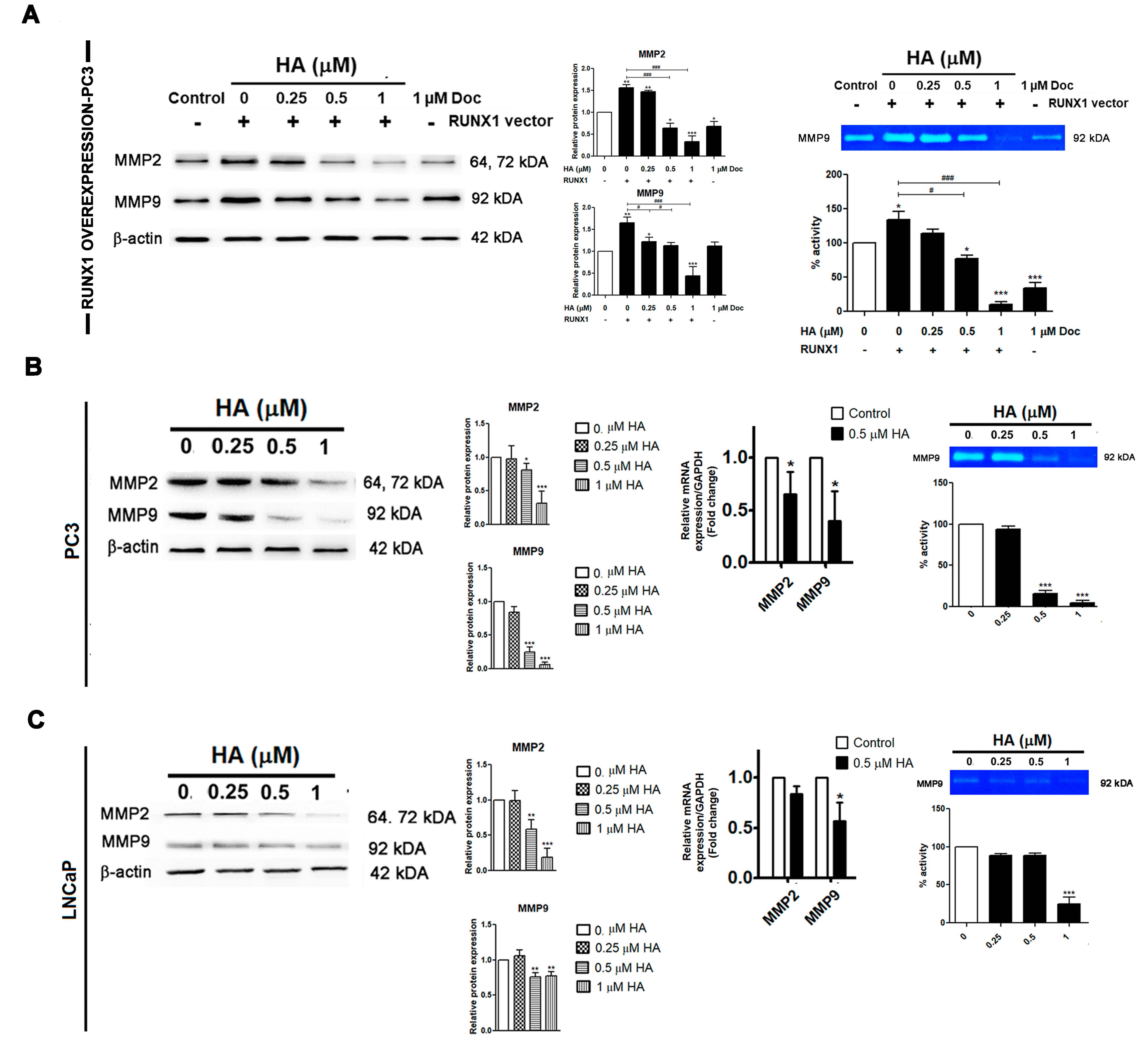 Marinedrugs 21 00345 g006