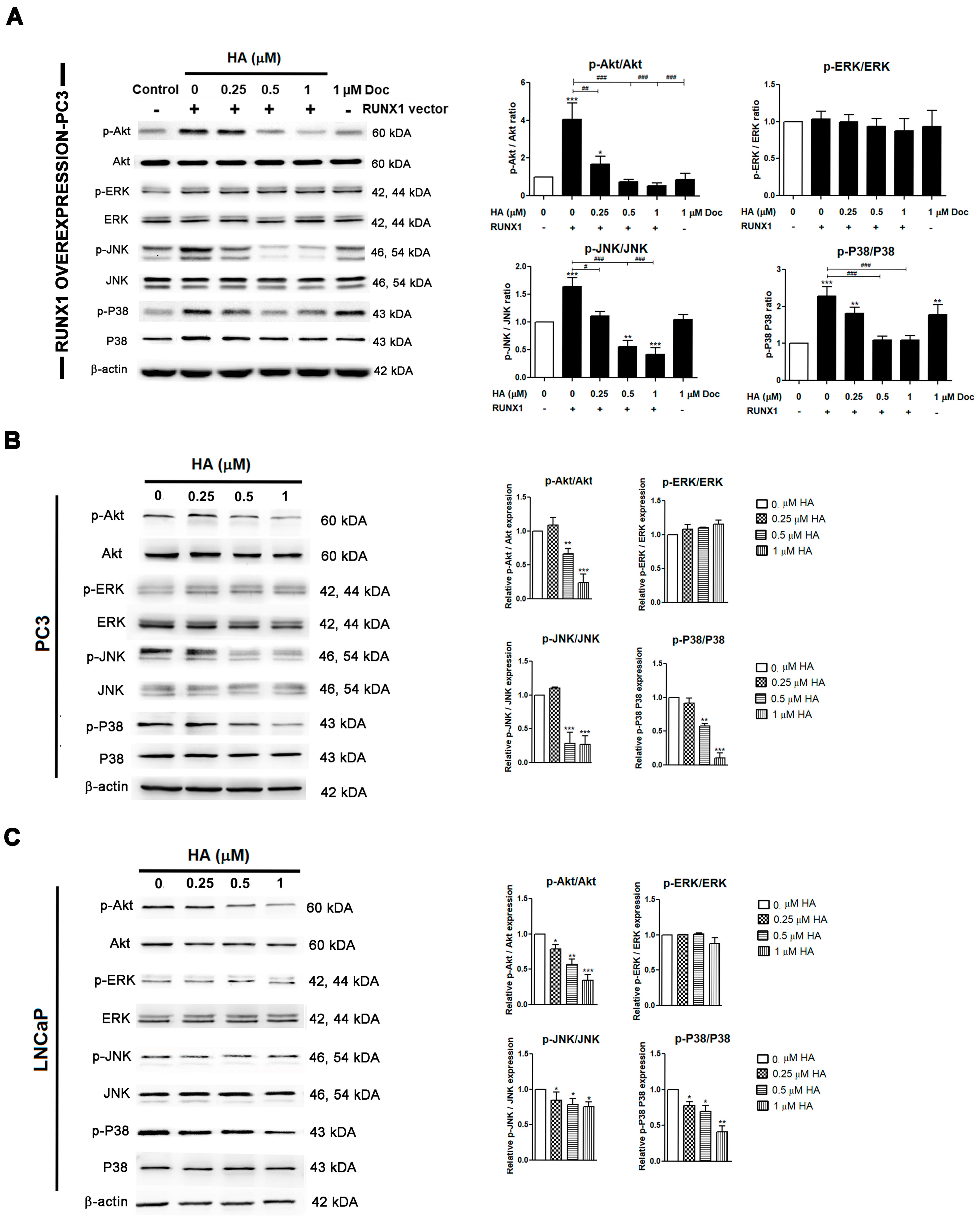 Marinedrugs 21 00345 g007