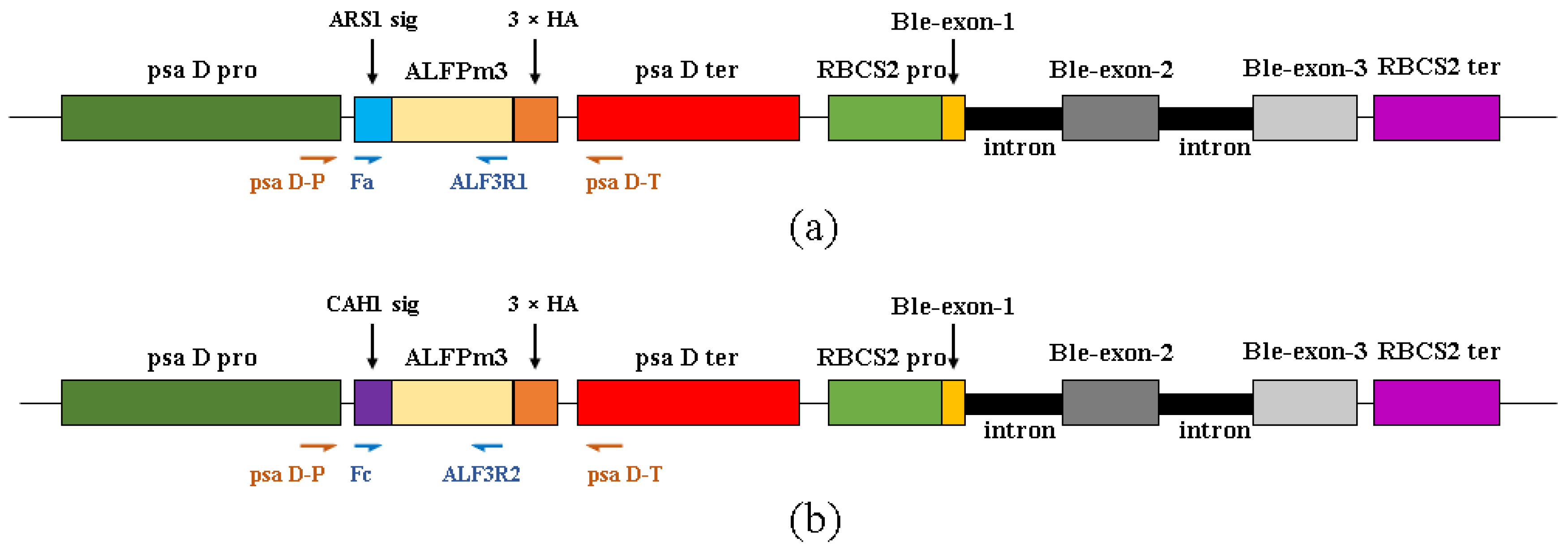 Marinedrugs 21 00346 g001