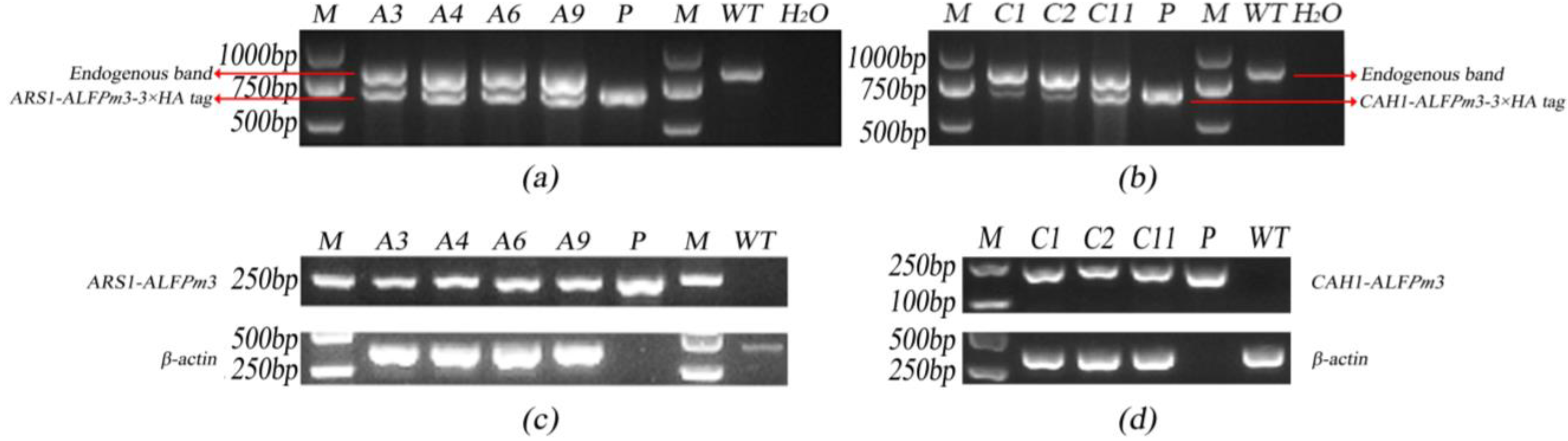 Marinedrugs 21 00346 g002