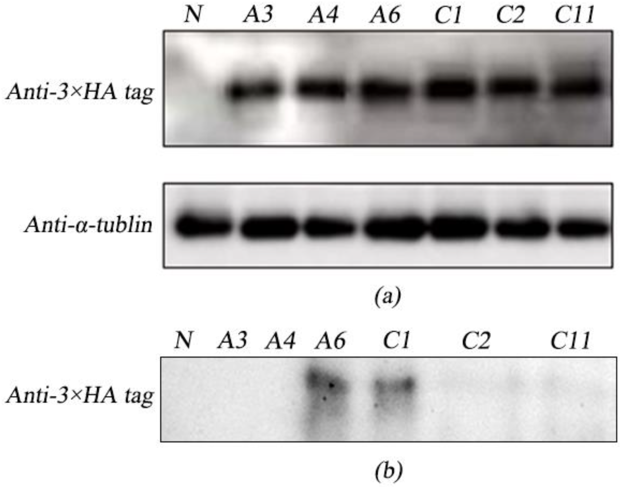 Marinedrugs 21 00346 g003