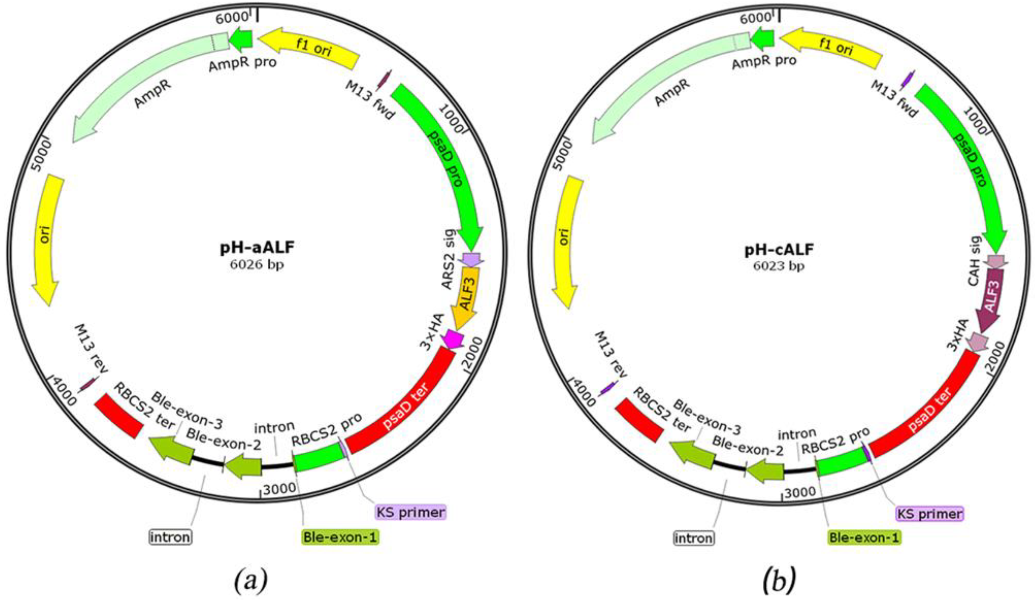 Marinedrugs 21 00346 g005