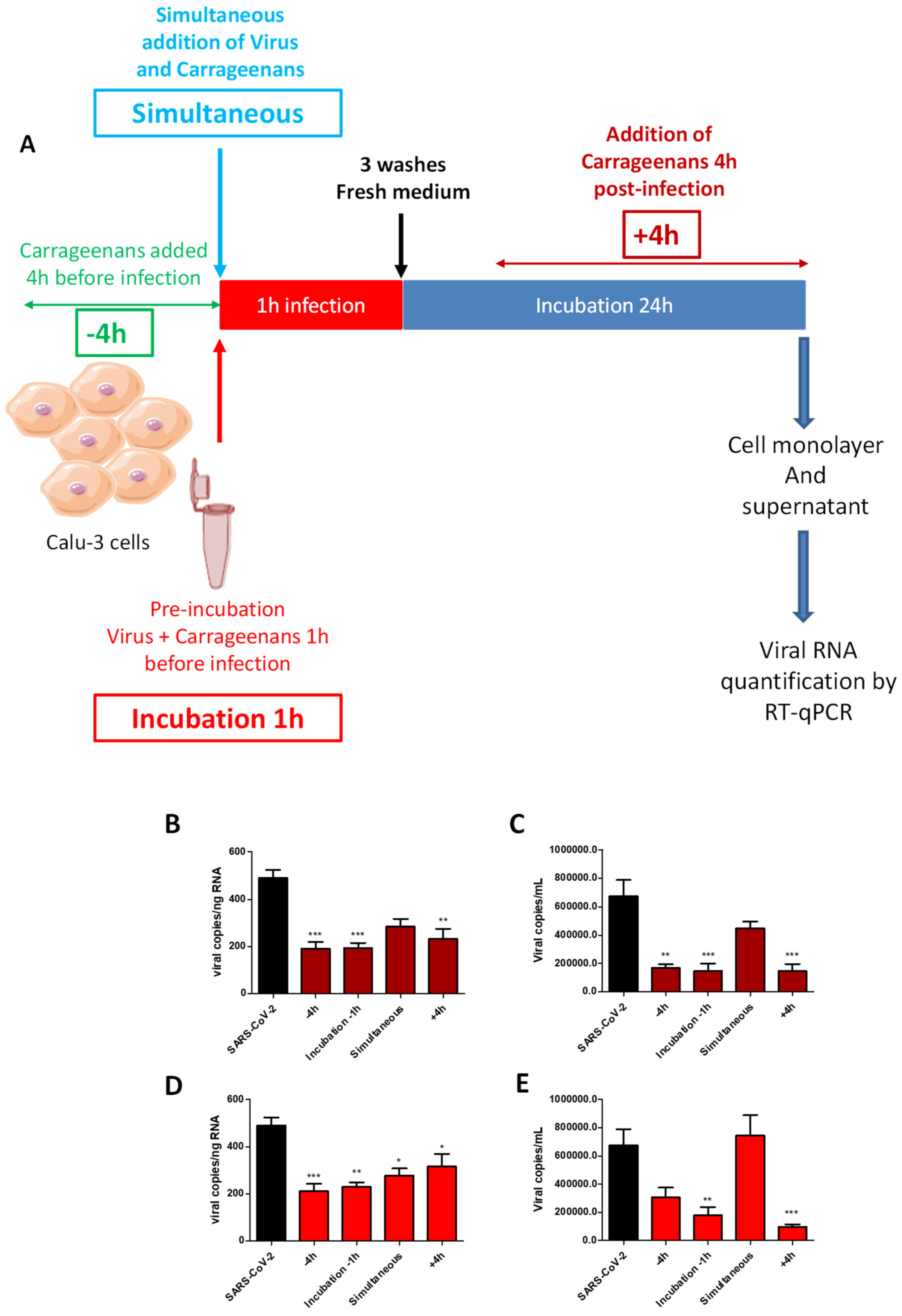 Marinedrugs 21 00348 g005