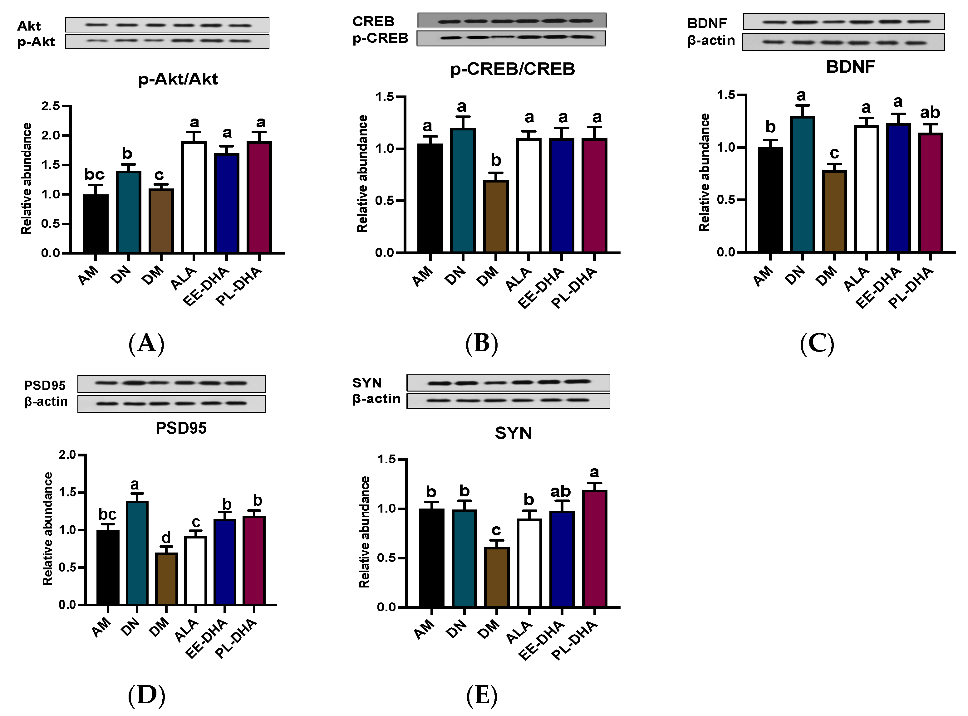 Marinedrugs 21 00354 g005