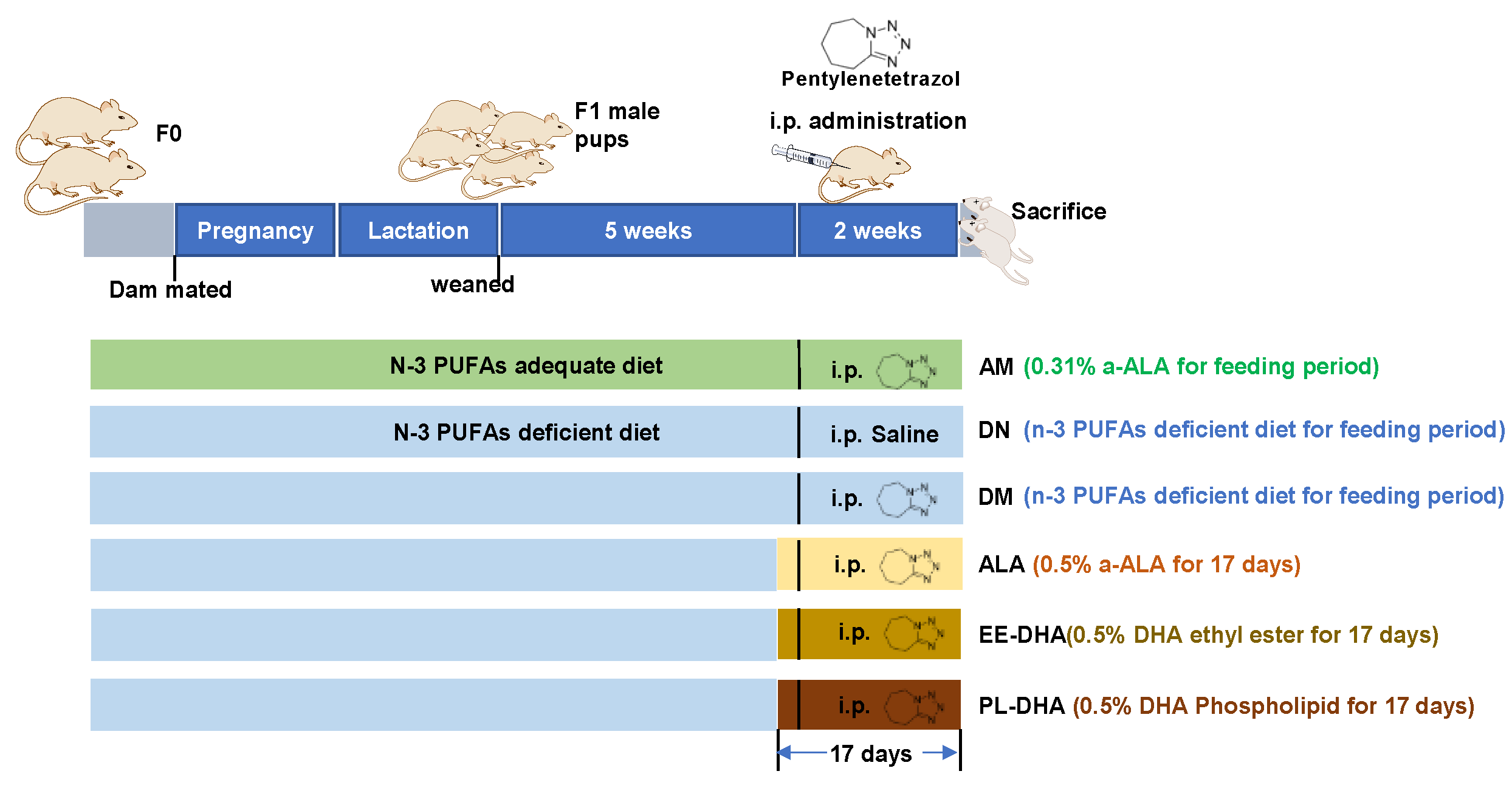Marinedrugs 21 00354 g008