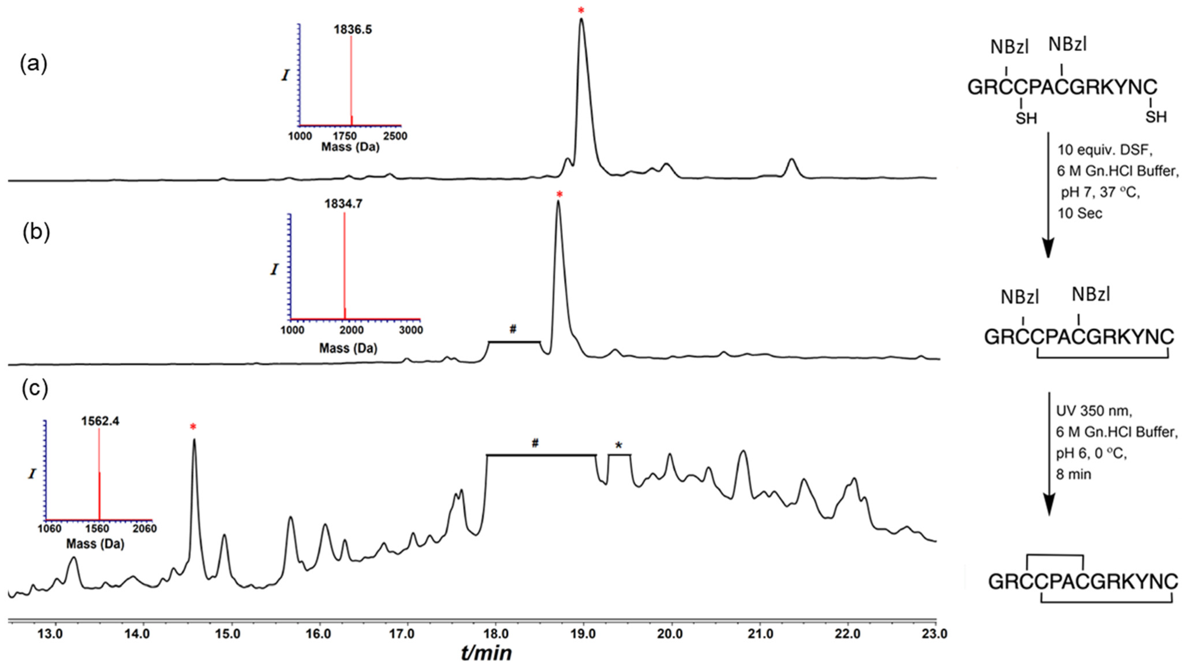 Marinedrugs 21 00356 g001