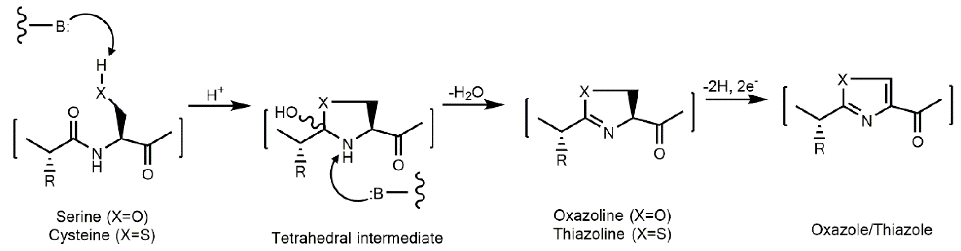 Marinedrugs 21 00359 g007
