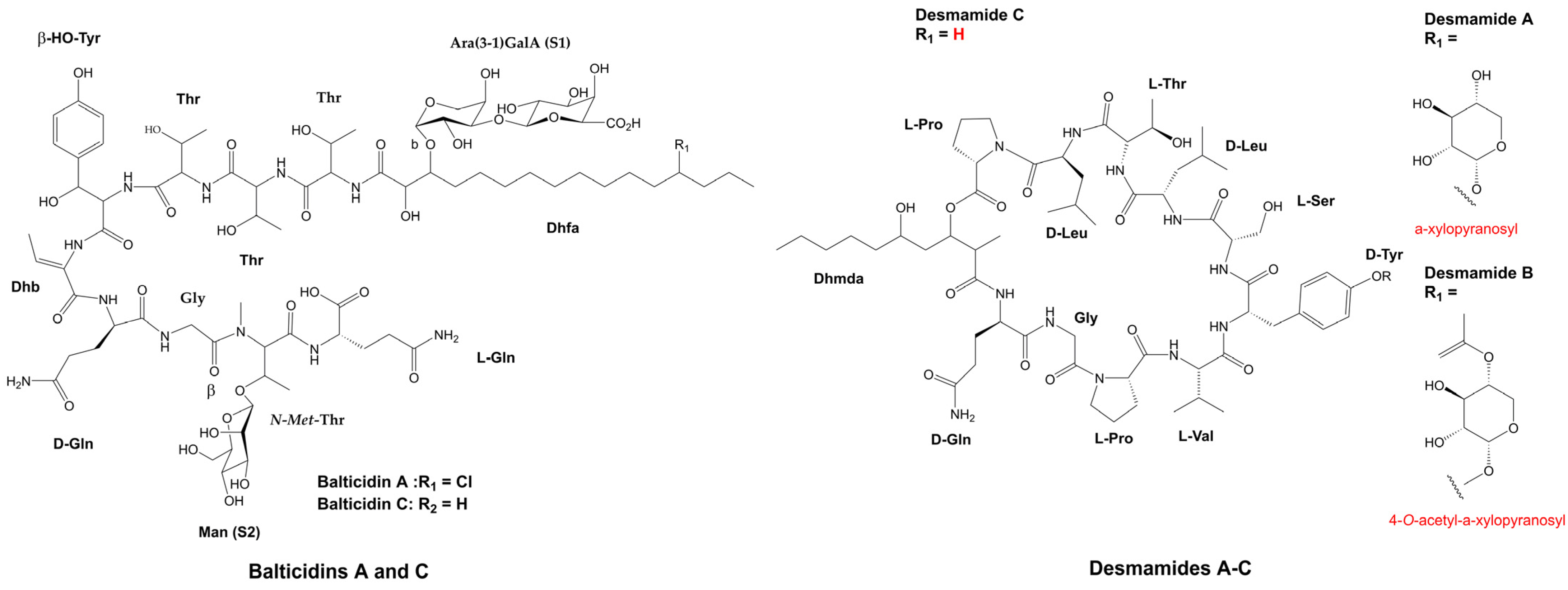 Marinedrugs 21 00359 g010