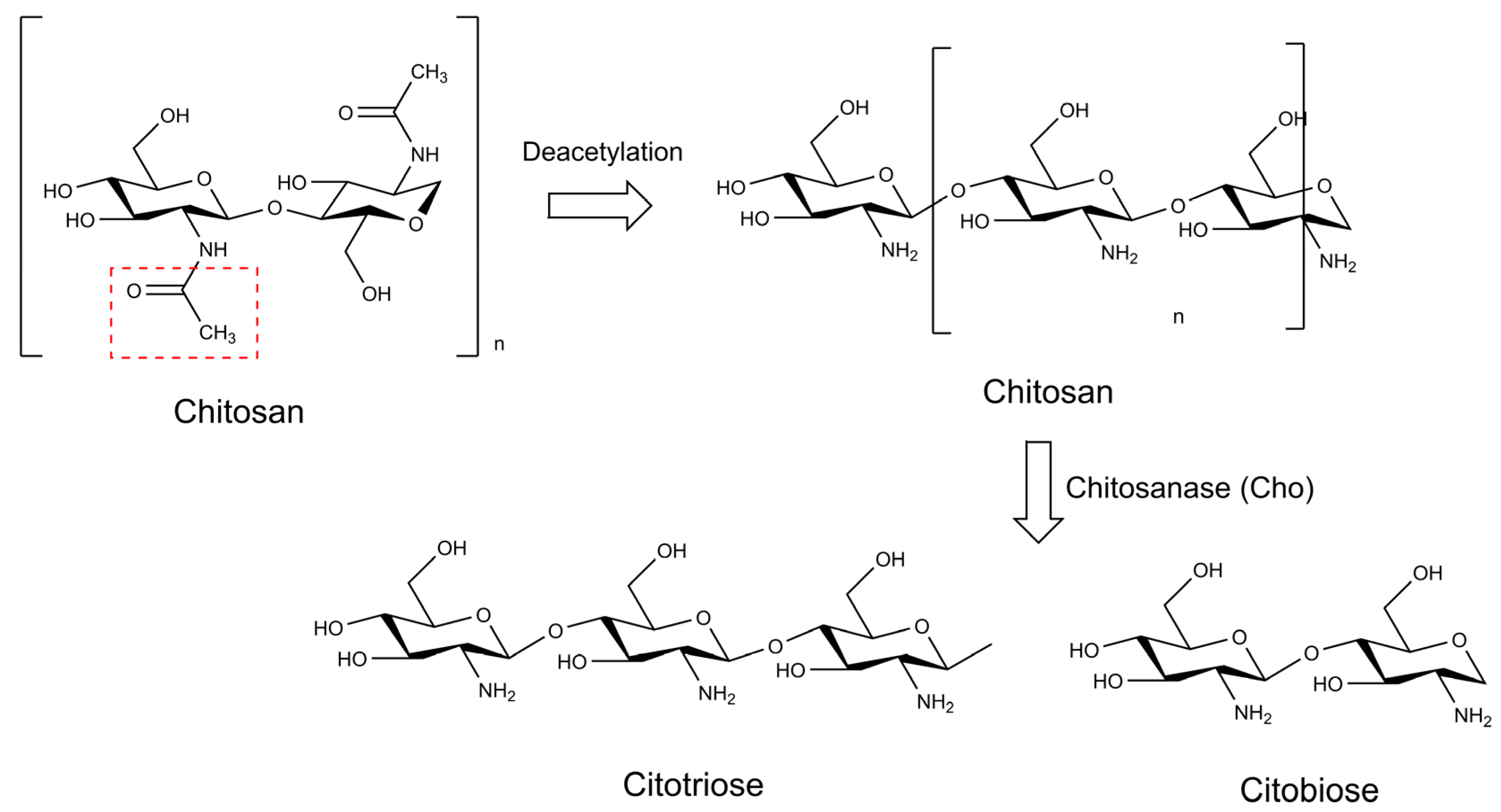 Marinedrugs 21 00359 g013