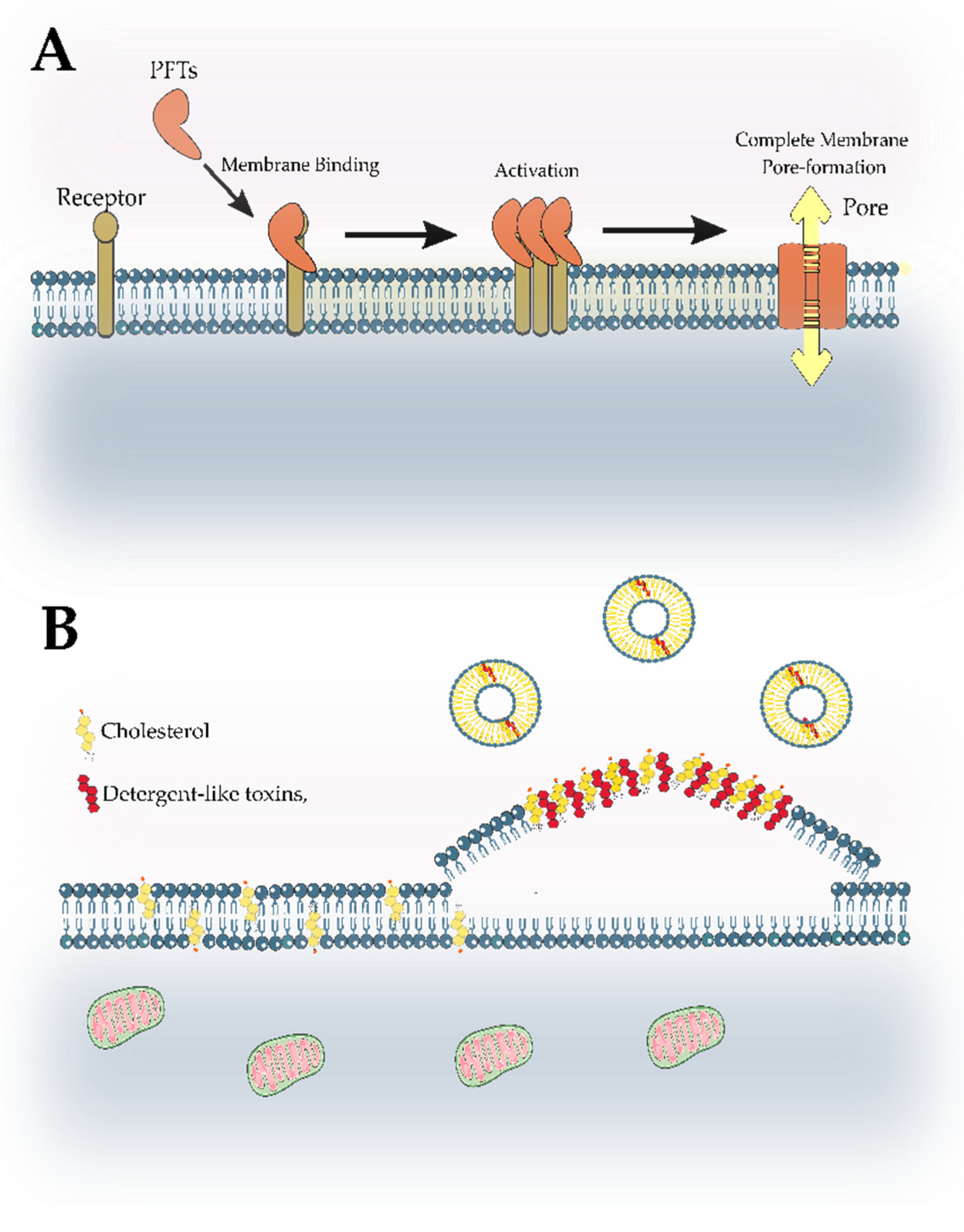 Marinedrugs 21 00359 g026