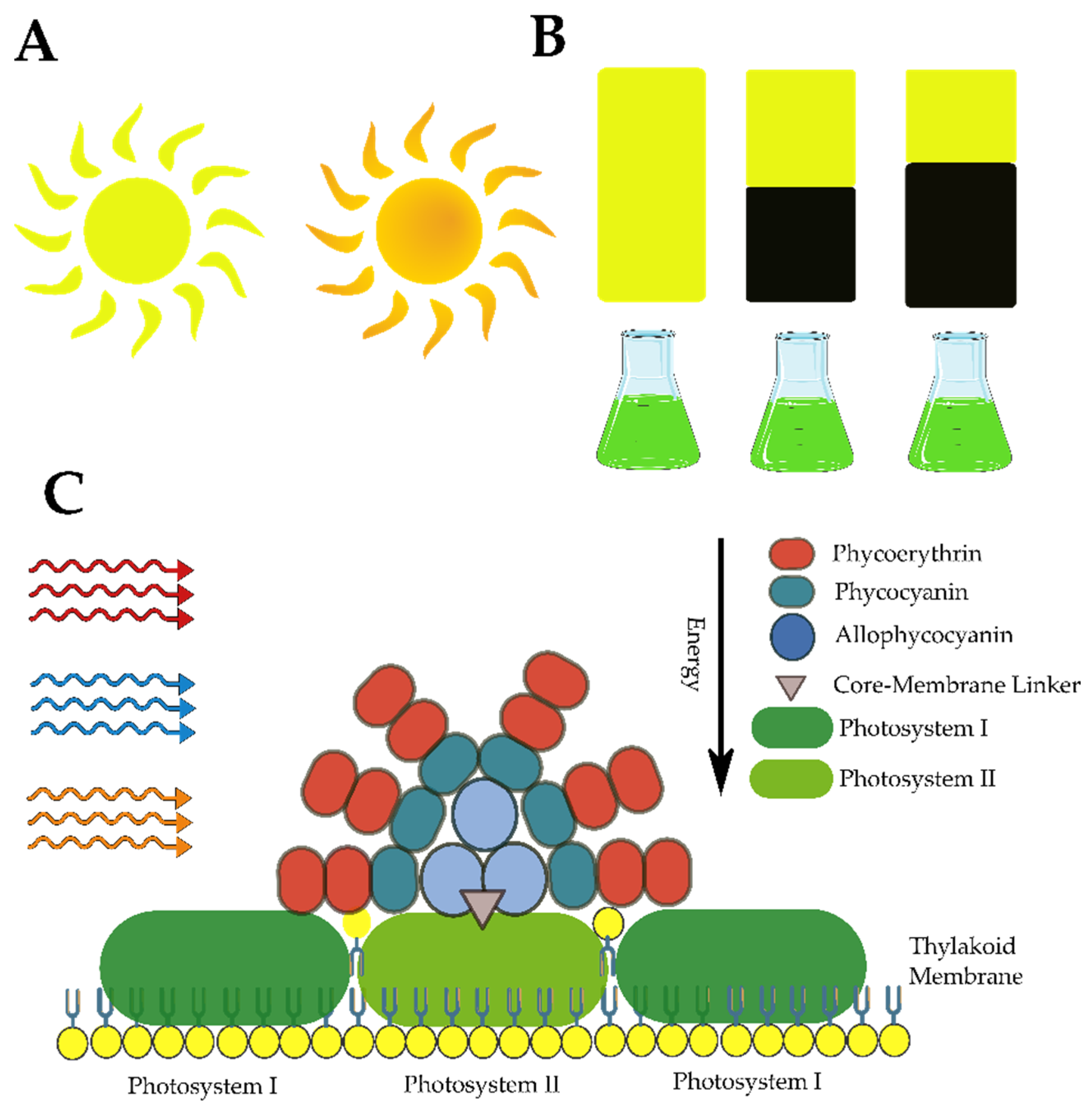 Marinedrugs 21 00359 g028