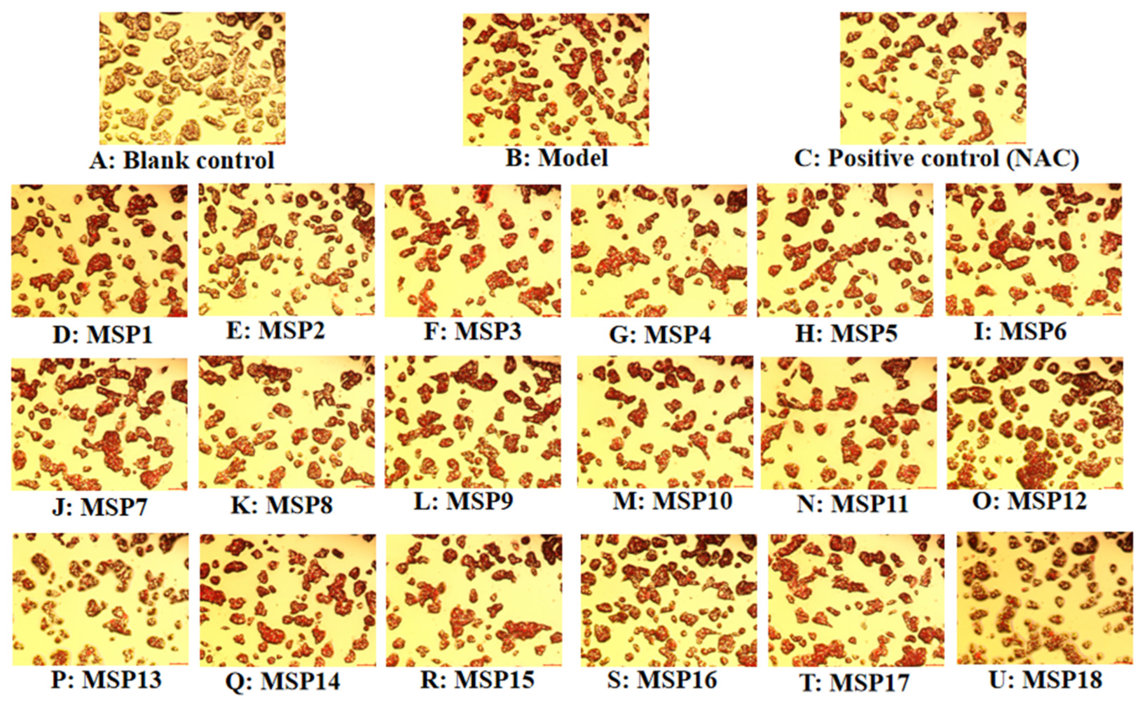 Marinedrugs 21 00360 g004