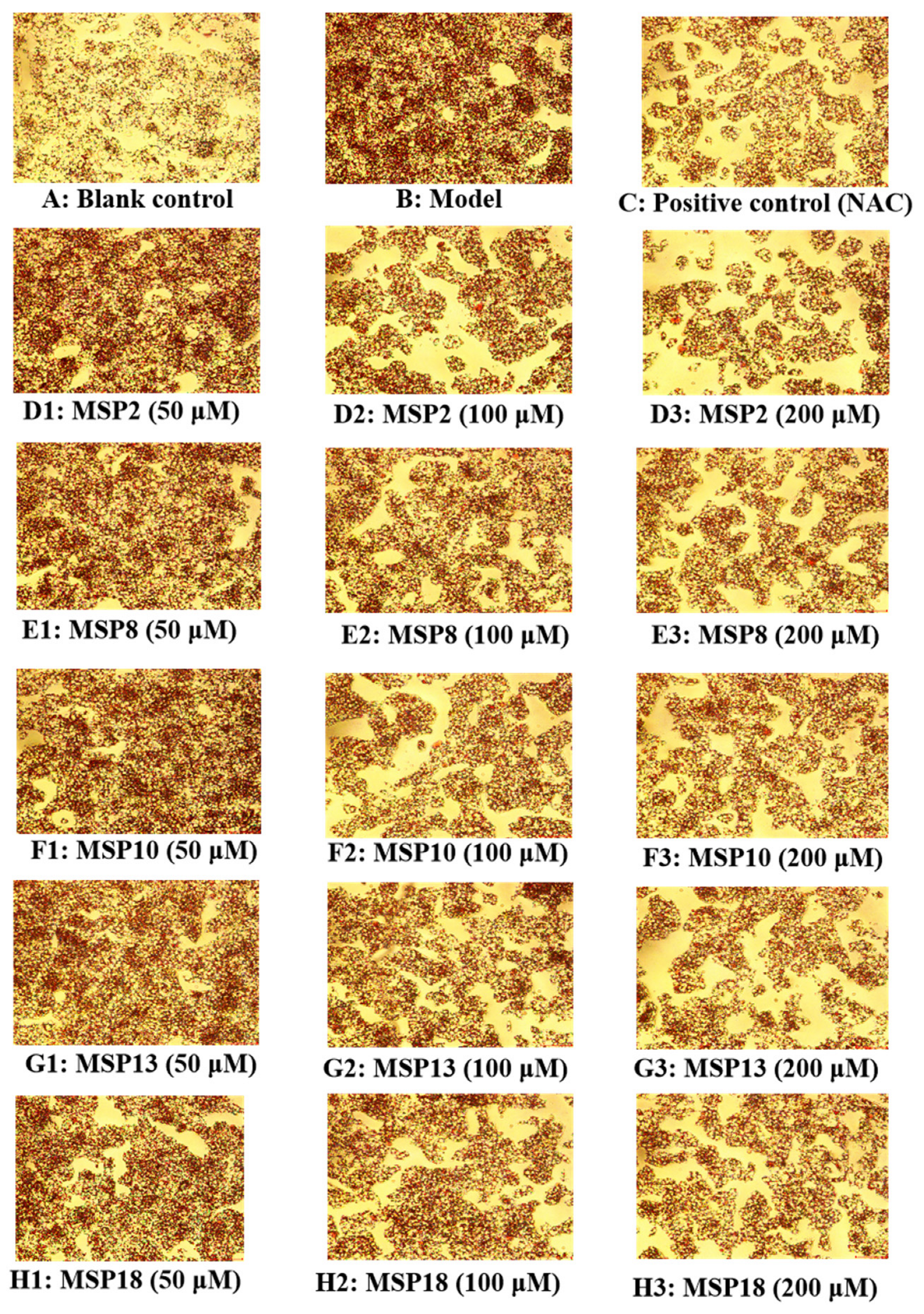 Marinedrugs 21 00360 g005