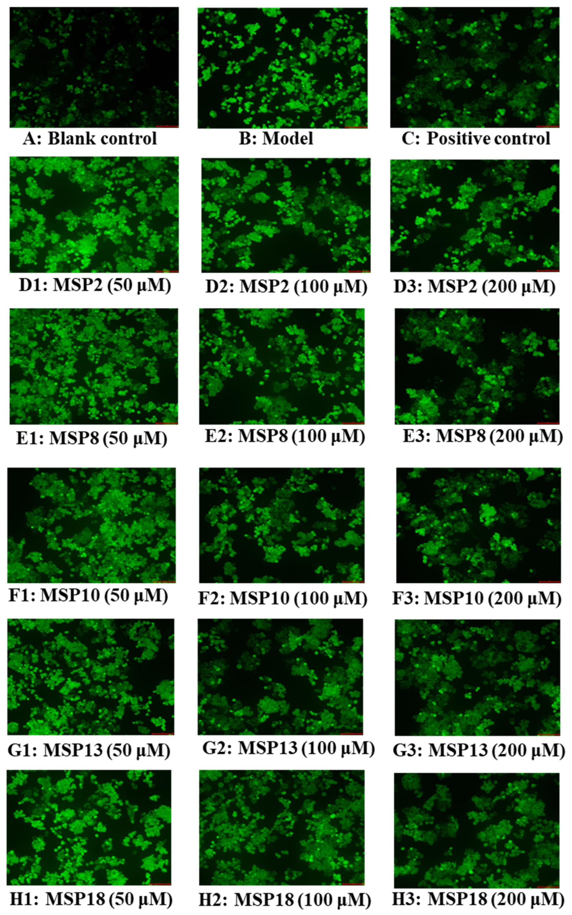 Marinedrugs 21 00360 g007