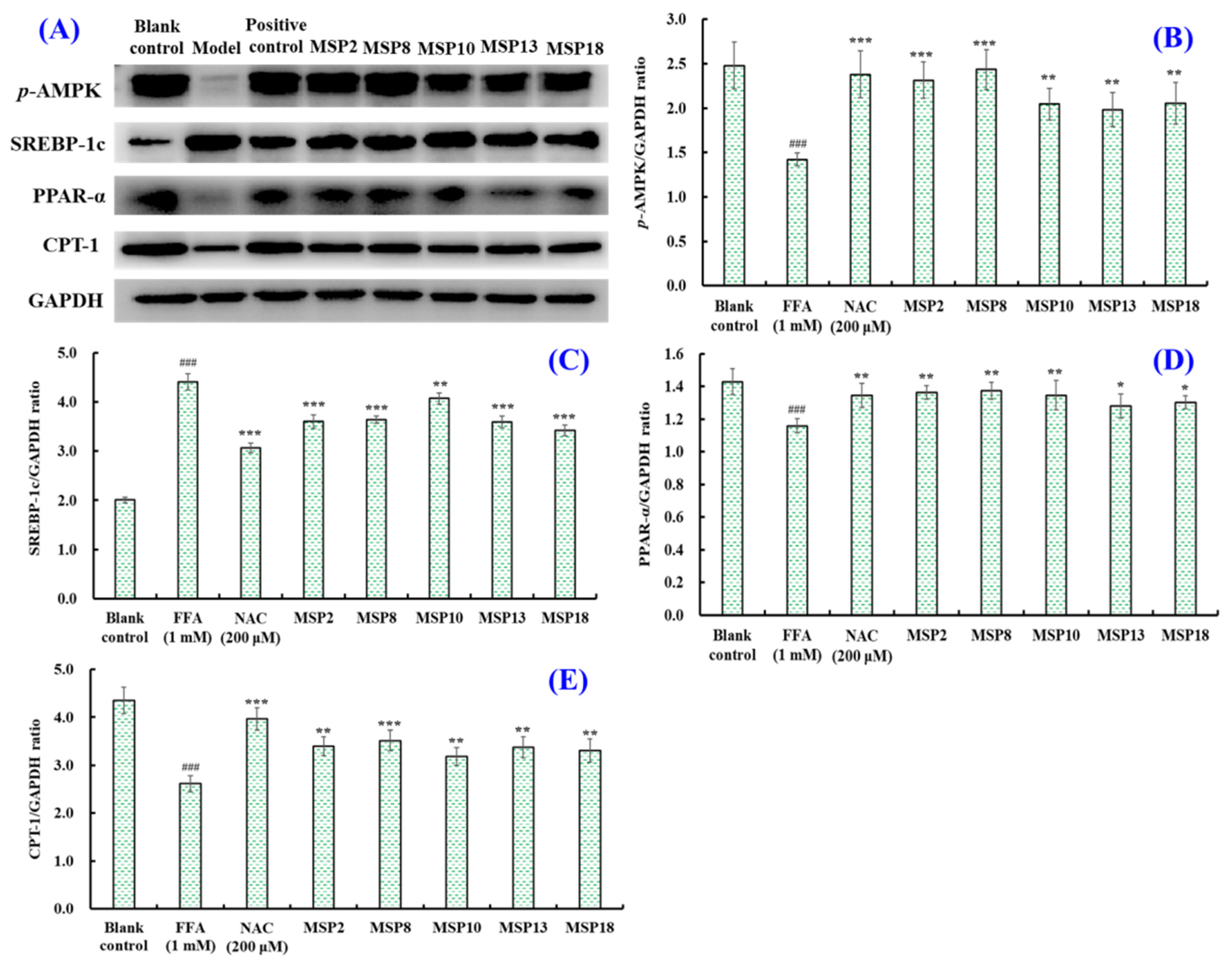 Marinedrugs 21 00360 g009