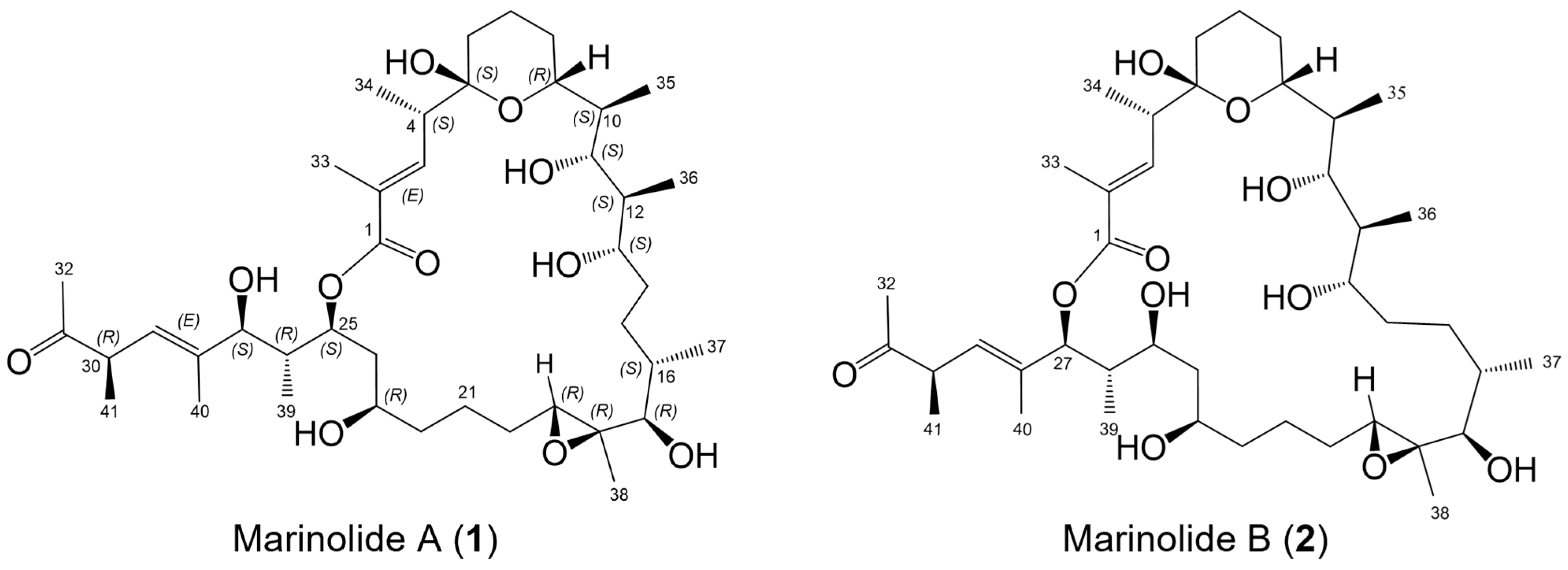 Marinedrugs 21 00367 g001