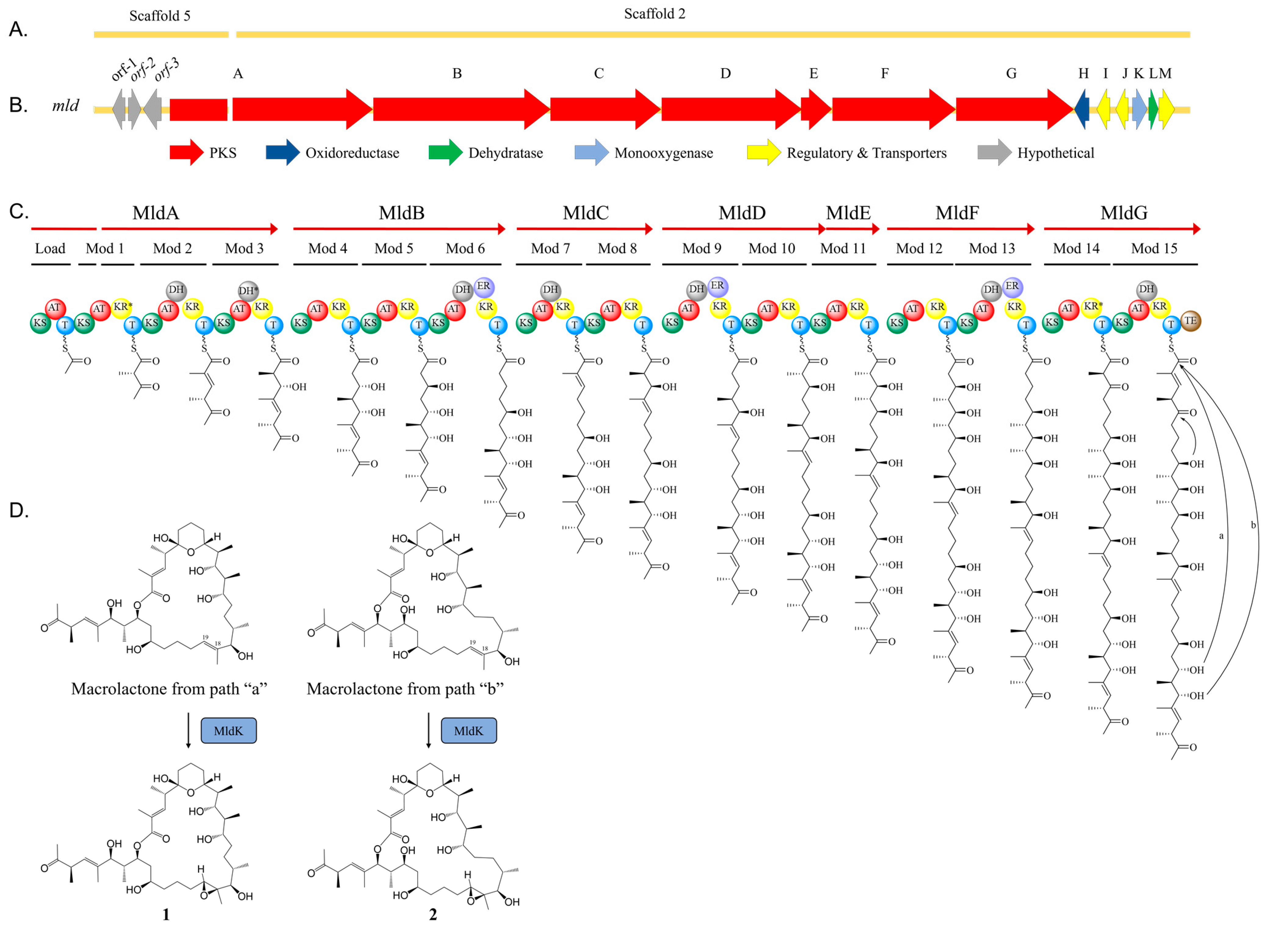 Marinedrugs 21 00367 g002