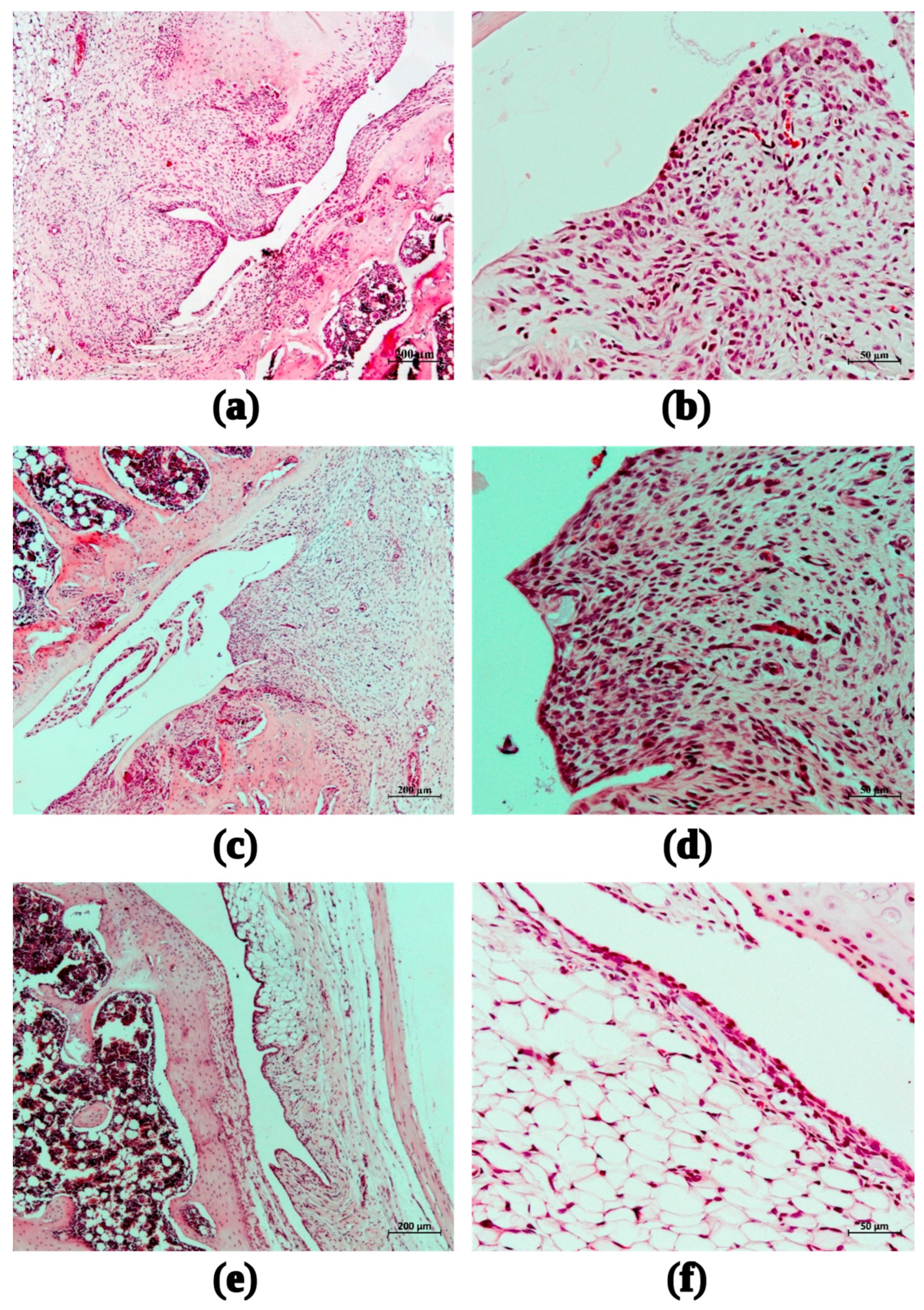 Marinedrugs 21 00368 g009