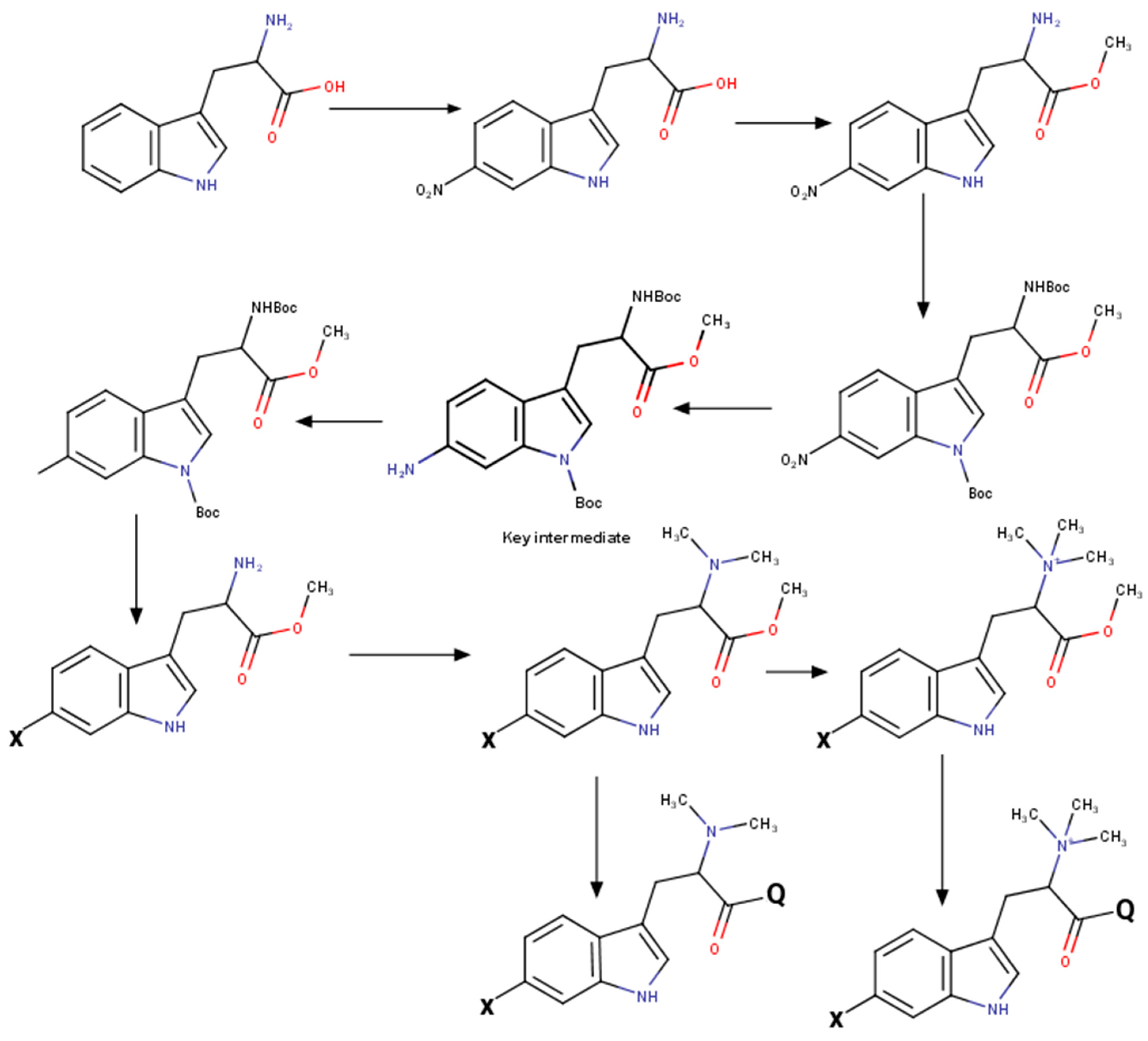 Marinedrugs 21 00368 sch002