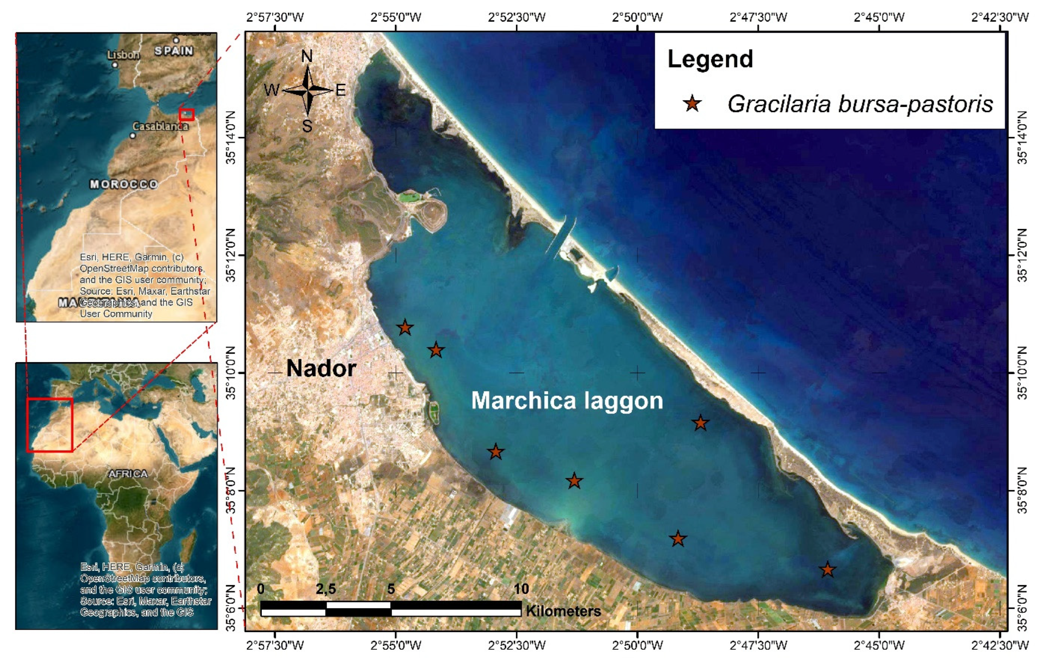 Marinedrugs 21 00372 g006