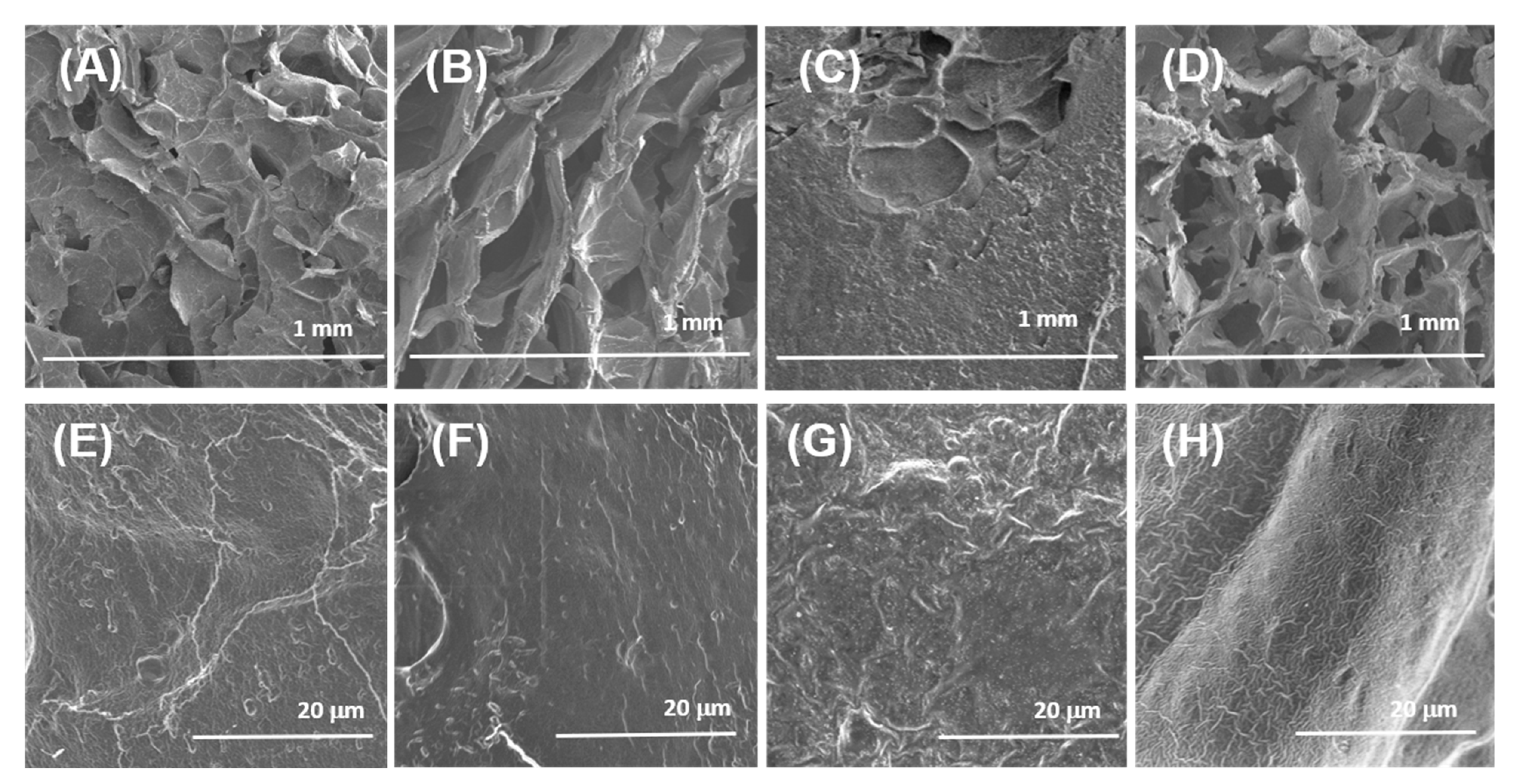 Marinedrugs 21 00375 g002