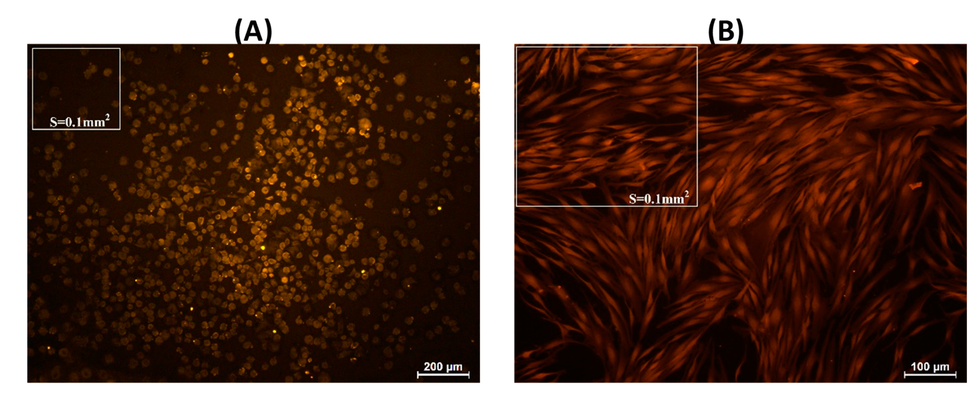 Marinedrugs 21 00375 g012