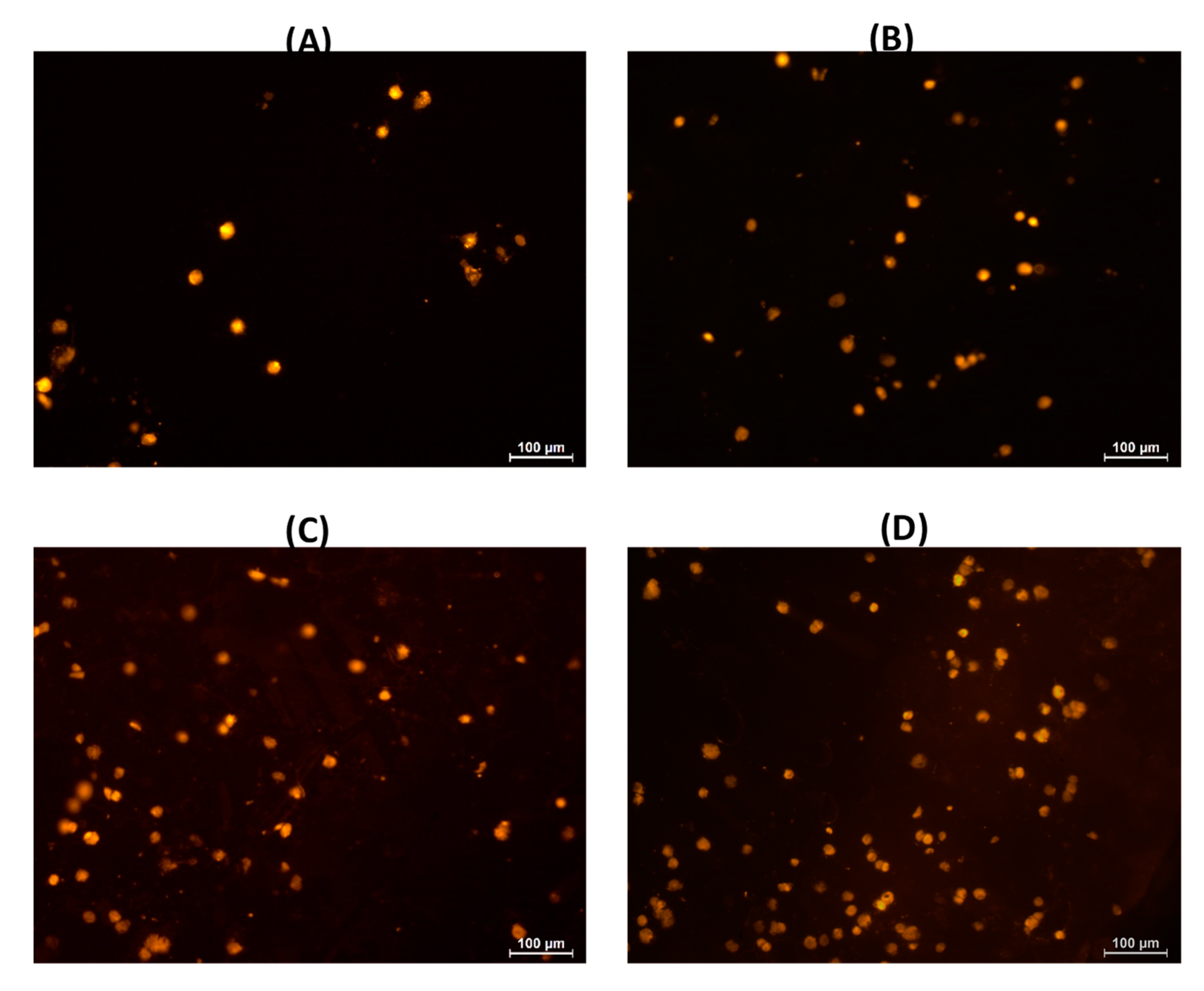 Marinedrugs 21 00375 g013