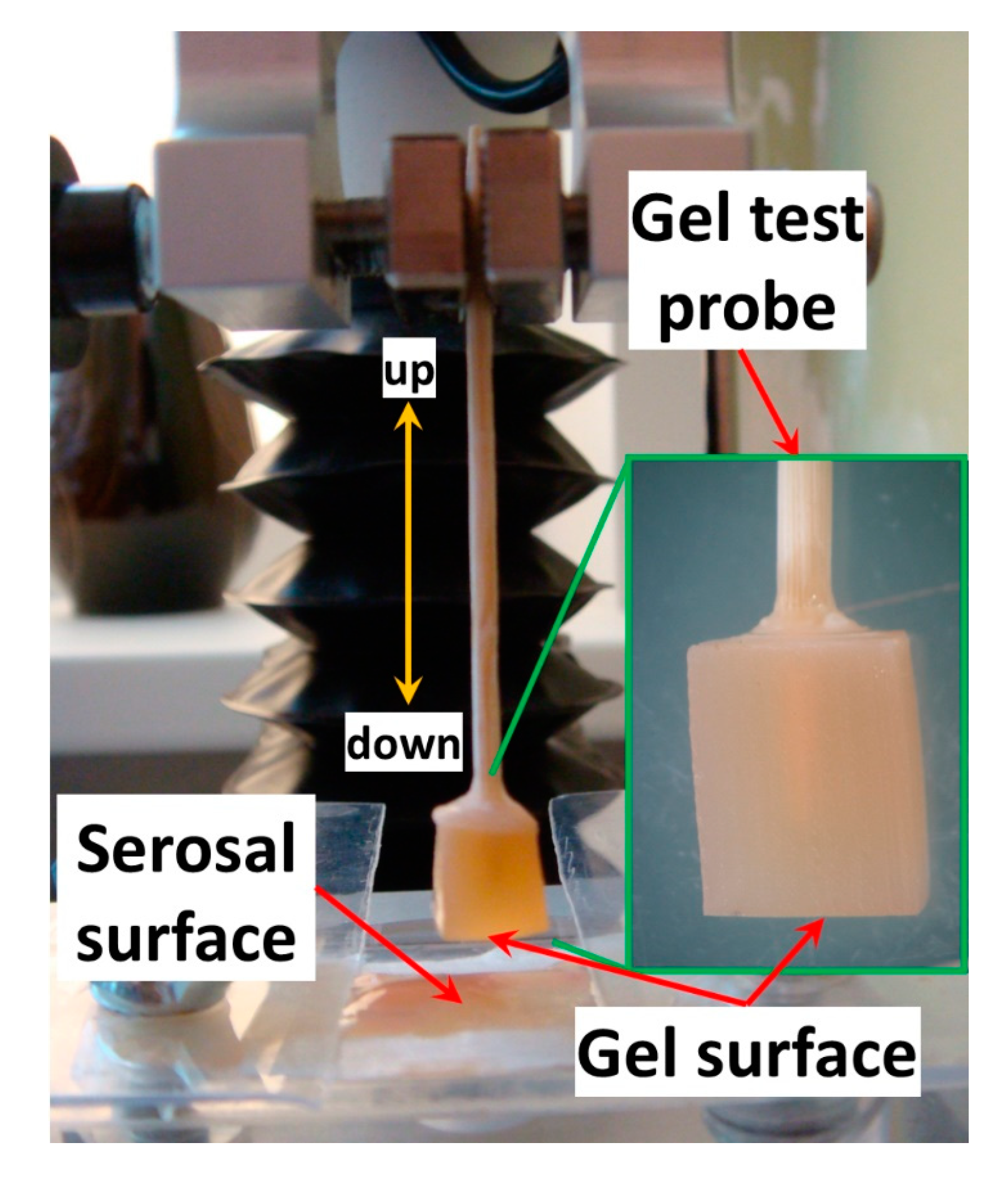 Marinedrugs 21 00375 g015