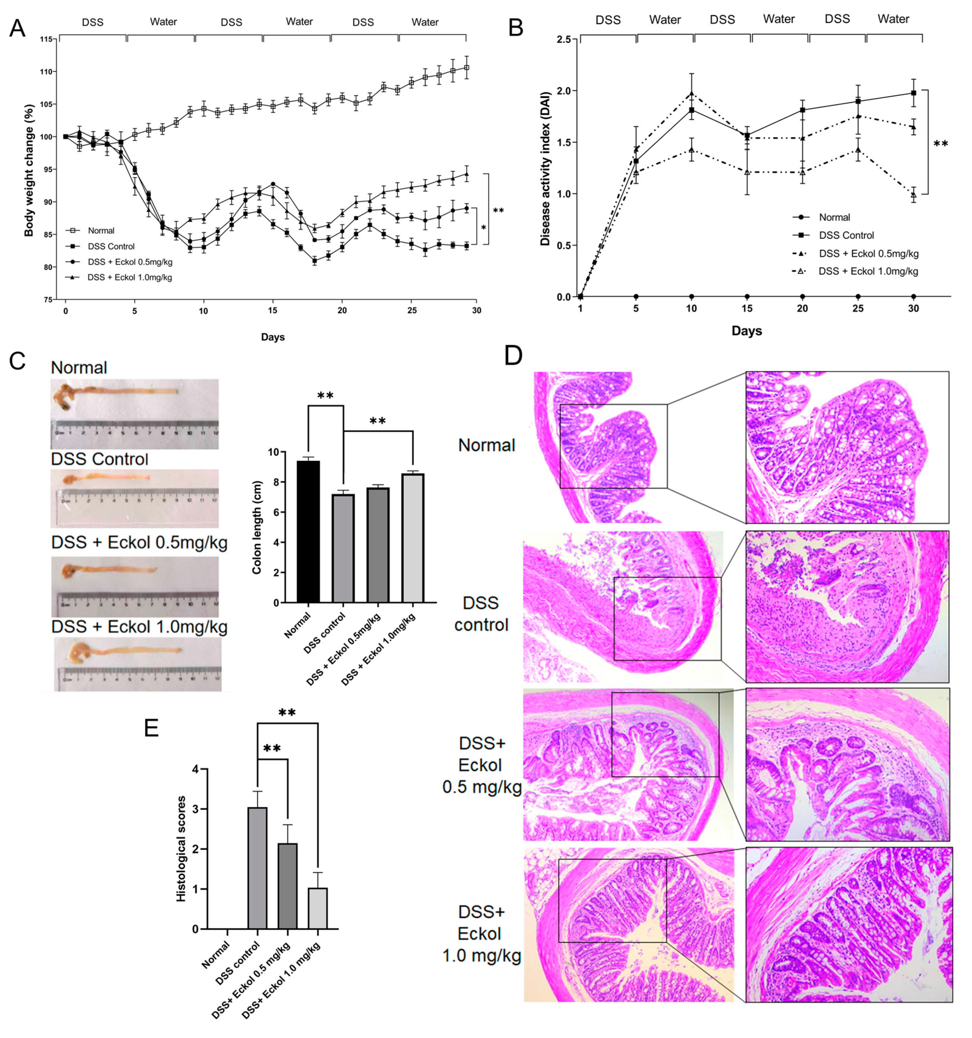 Marinedrugs 21 00376 g001