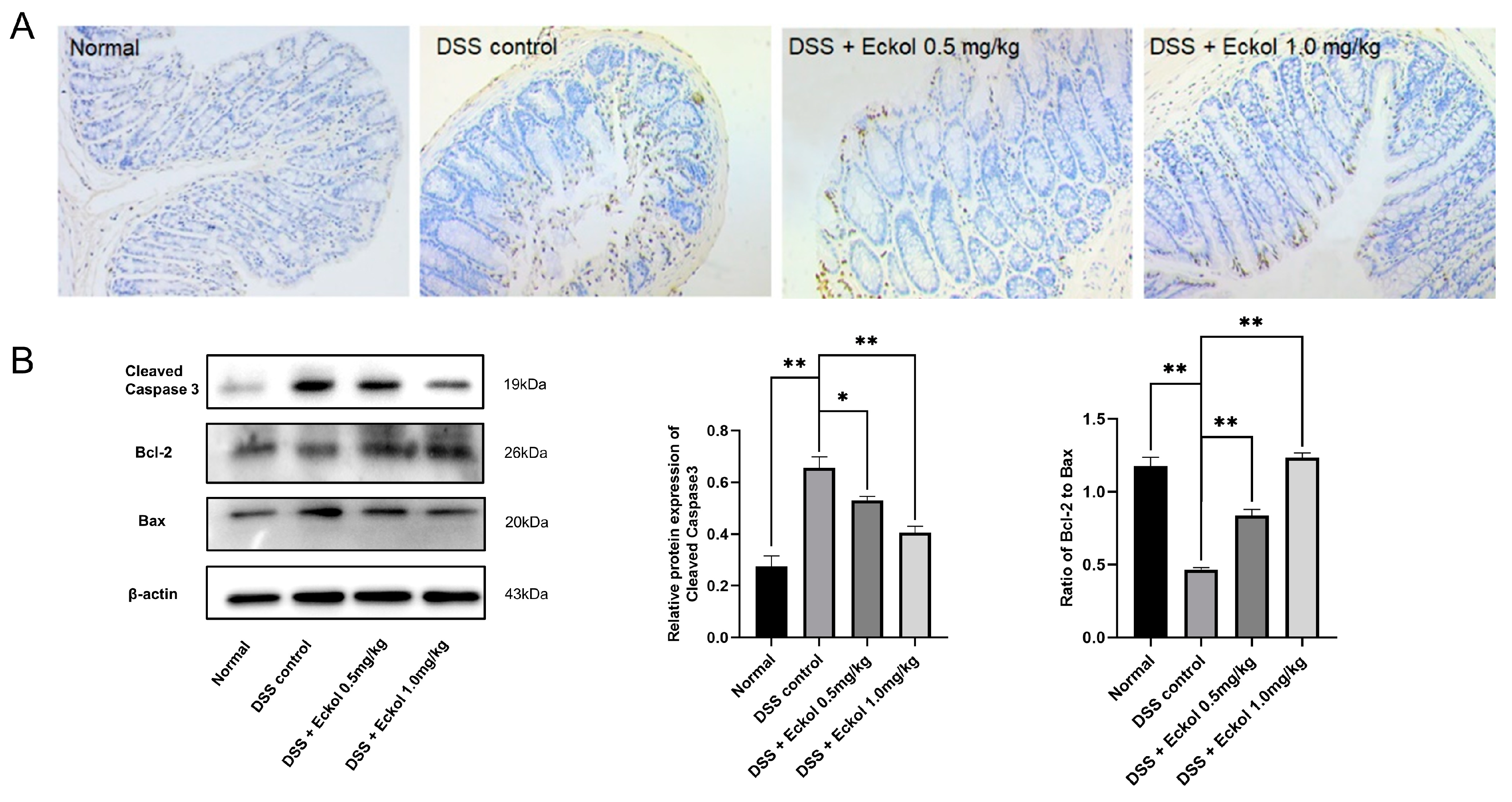 Marinedrugs 21 00376 g002
